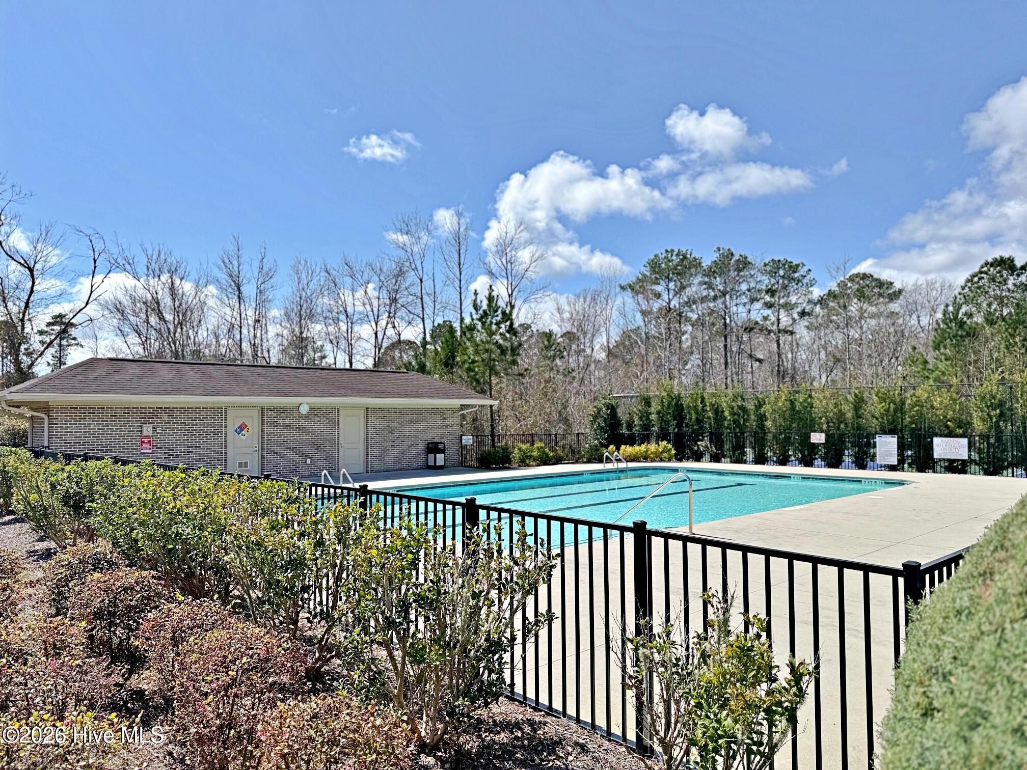 100537475 | Photo 48