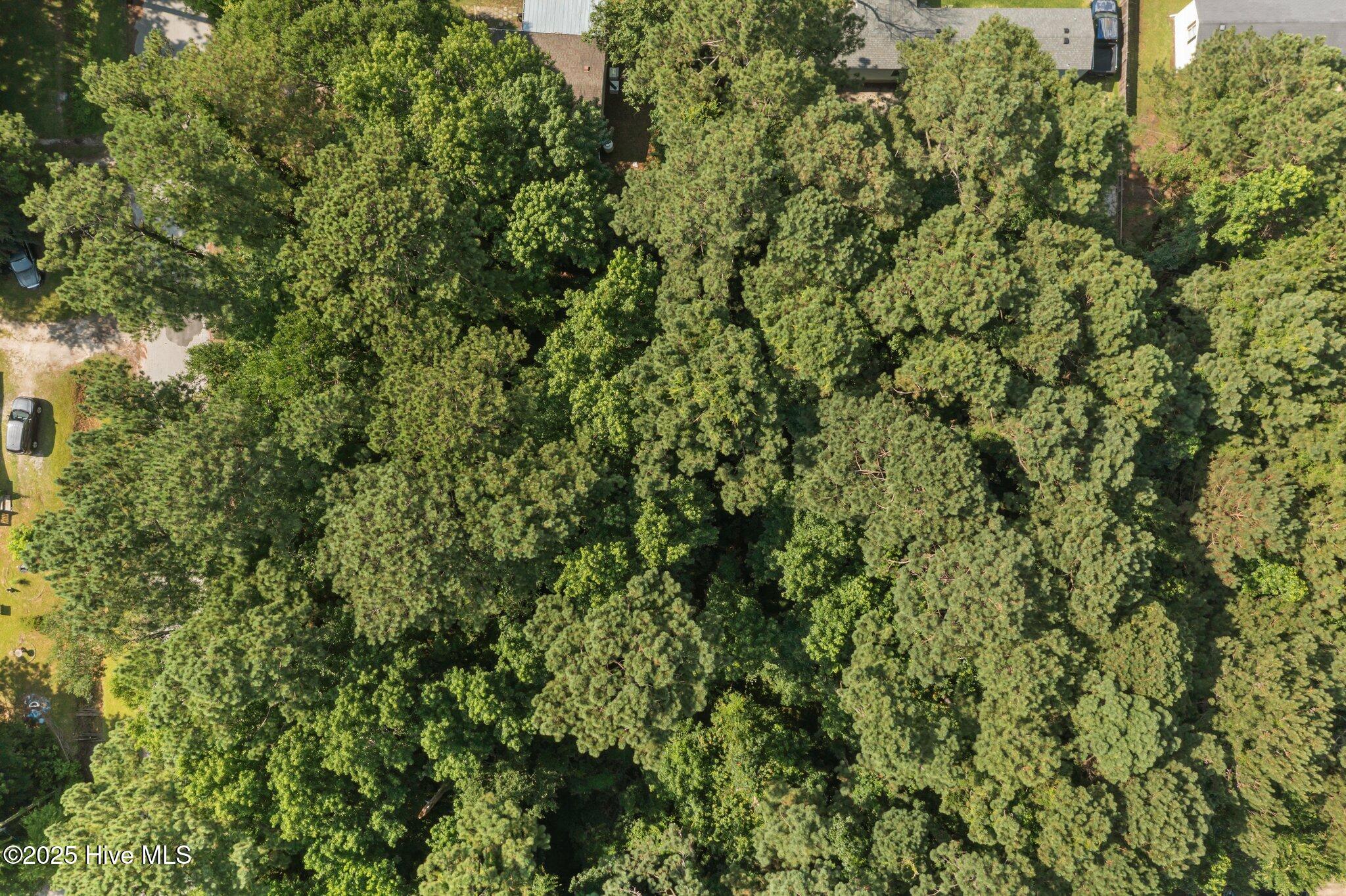 105 Seahorse Drive,Beaufort