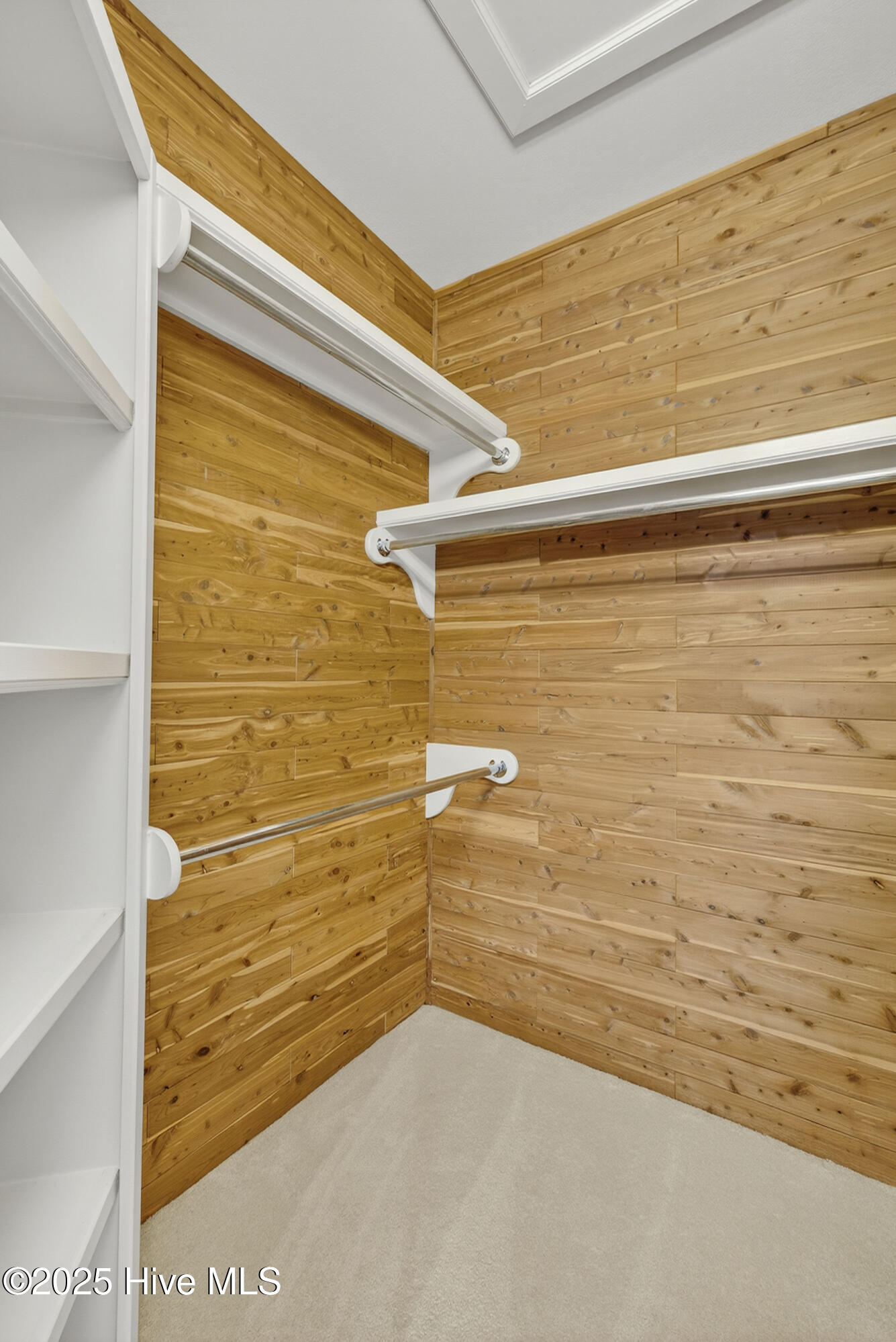 100537331 | Photo 31