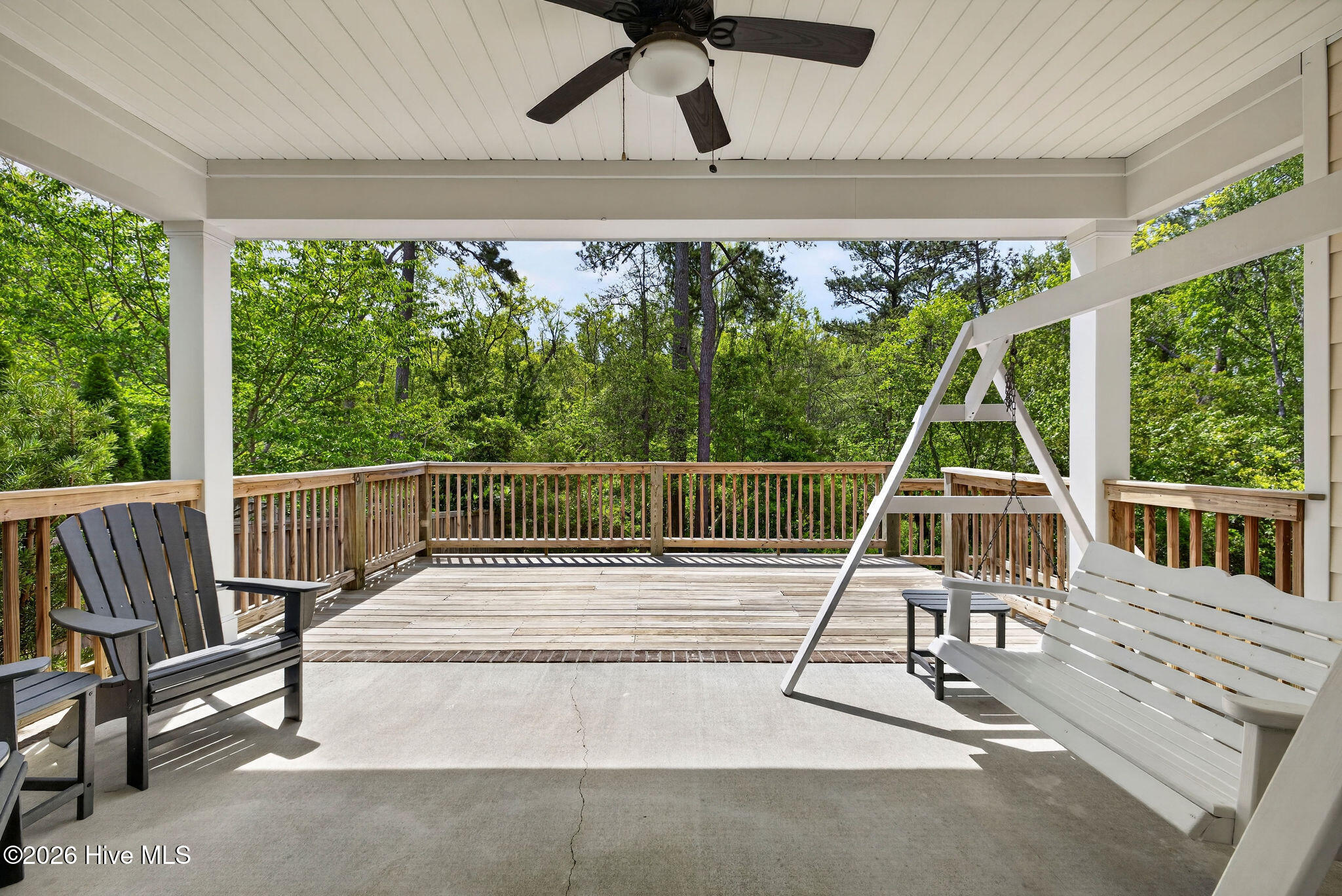 100567052 | Photo 42