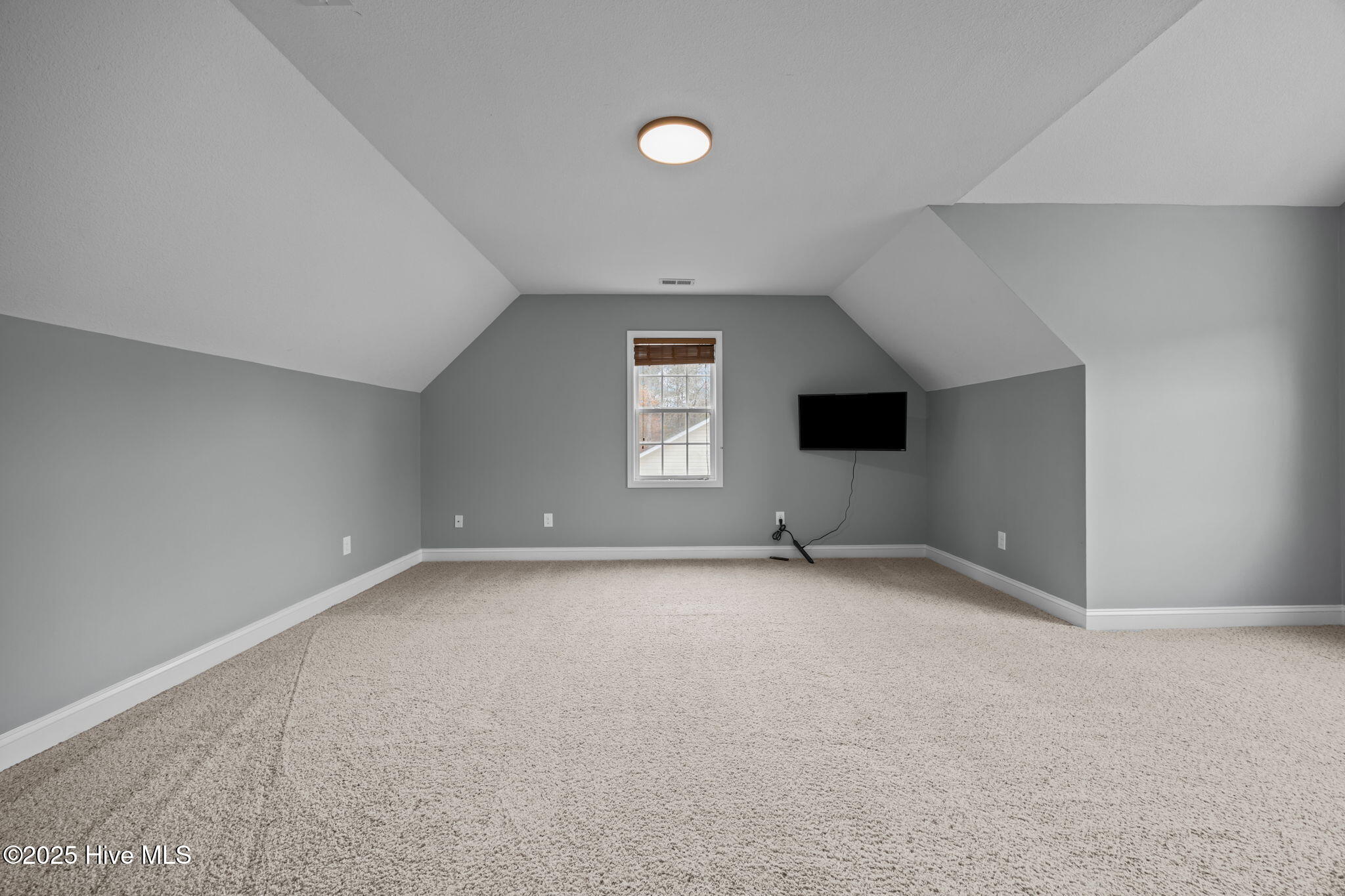 100544131 | Photo 31