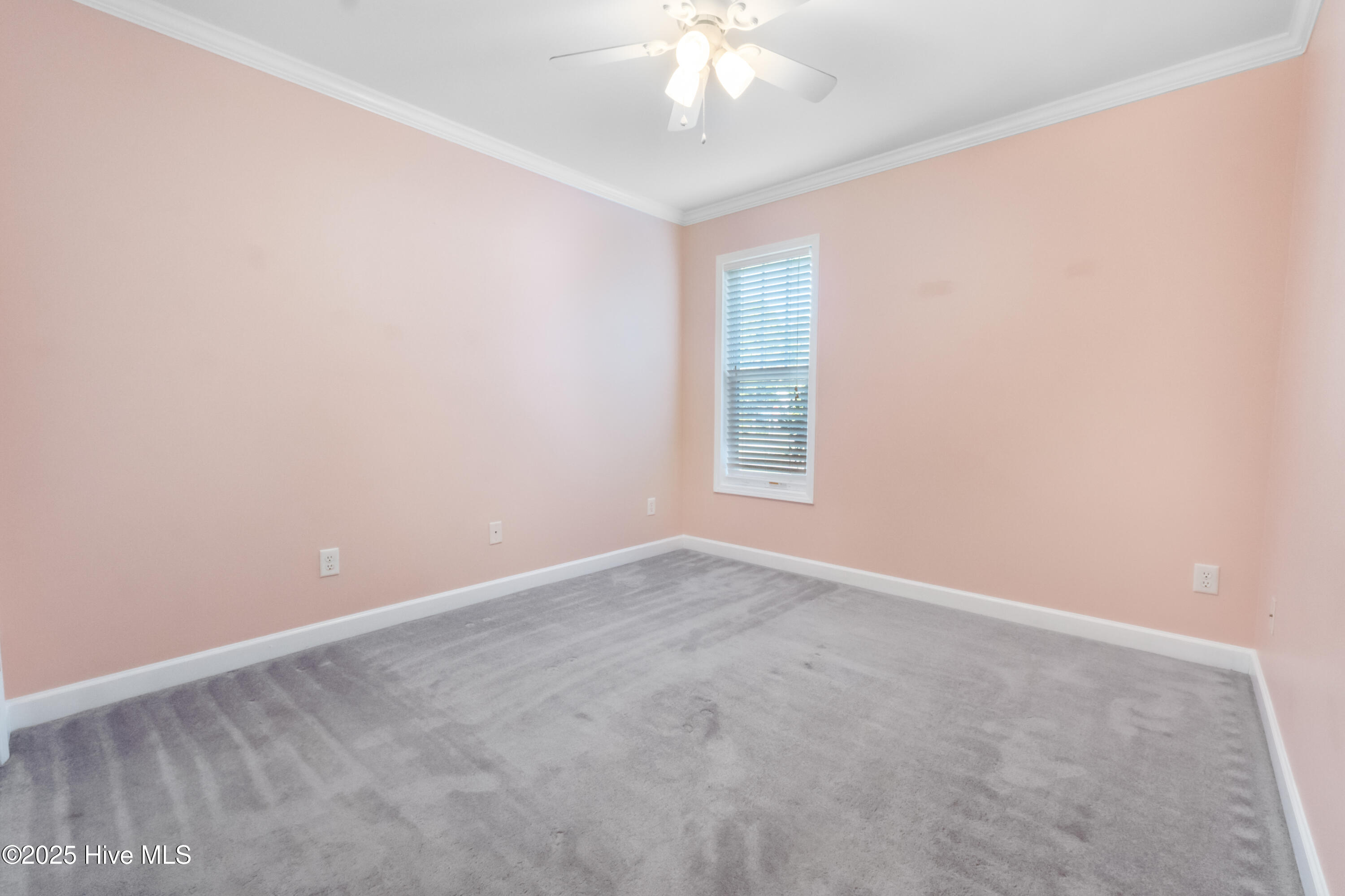 100535506 | Photo 19