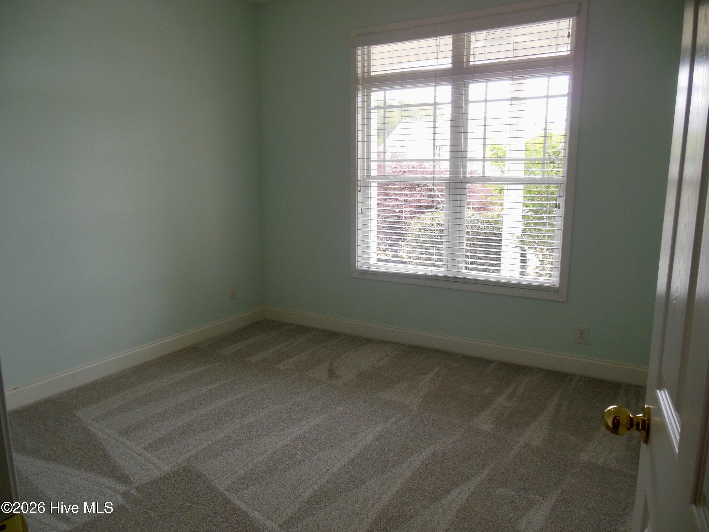 100570032 | Photo 17