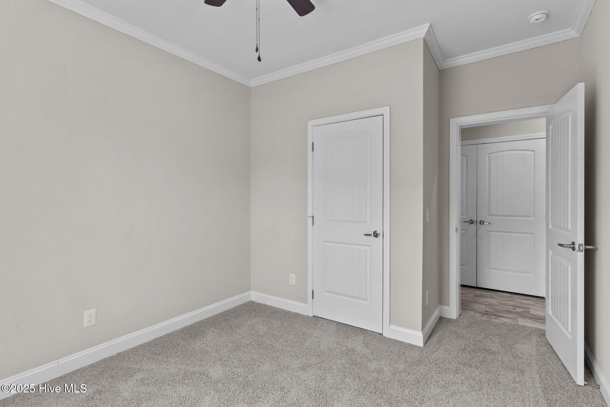 100529726 | Photo 34