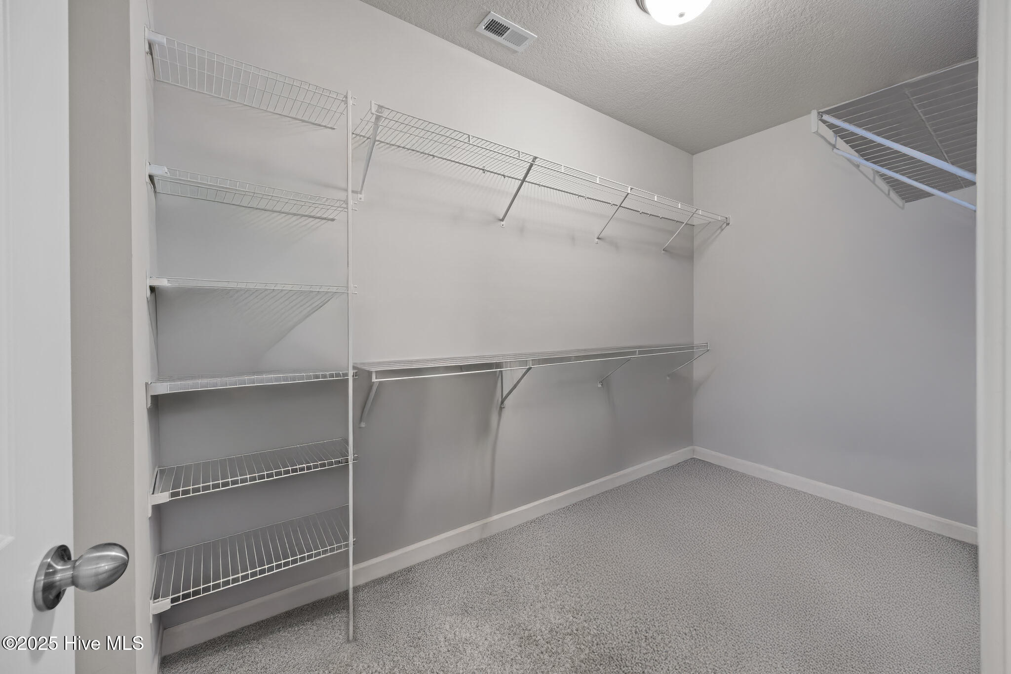 100557164 | Photo 13