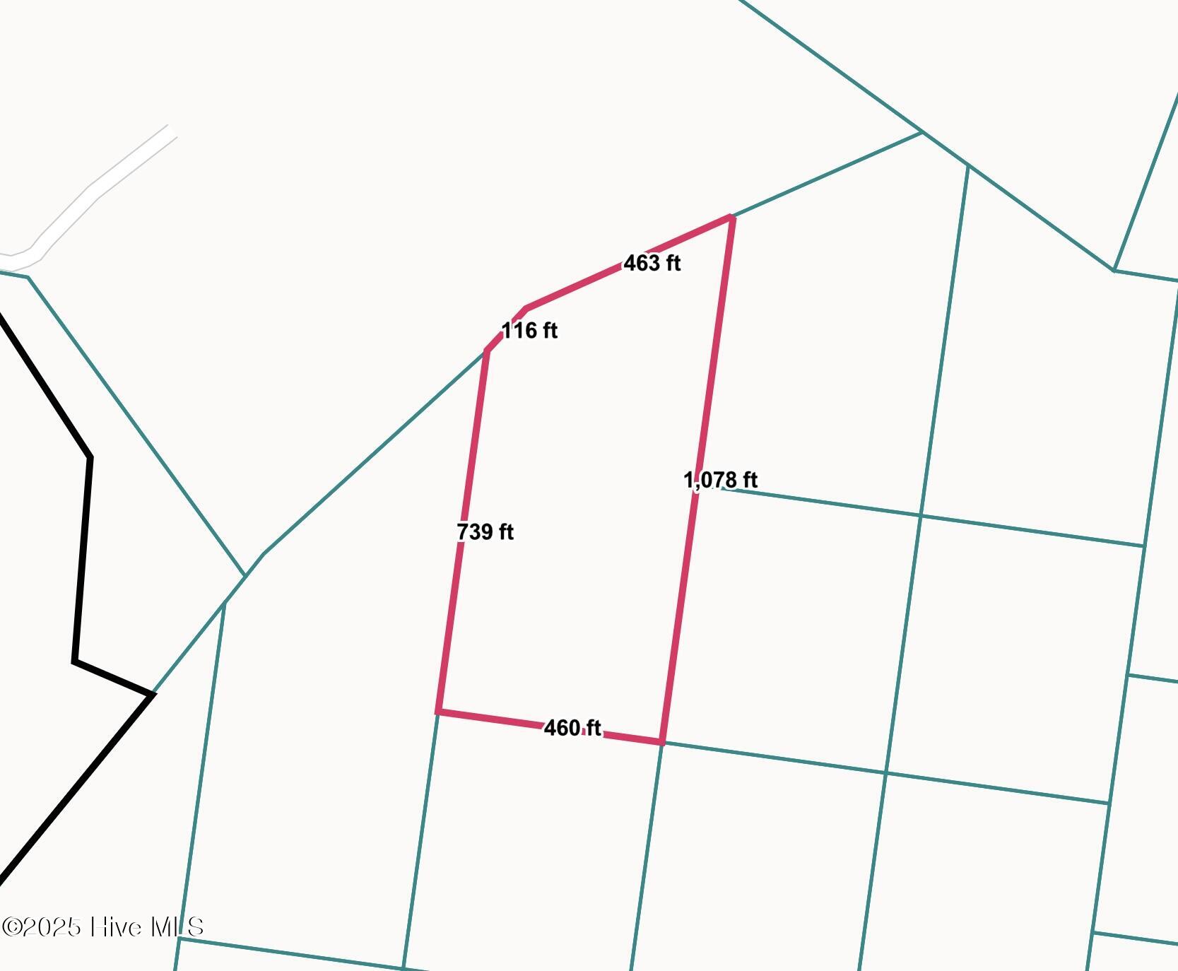 Screenshot 2025-09-11 at 11.27.37AM