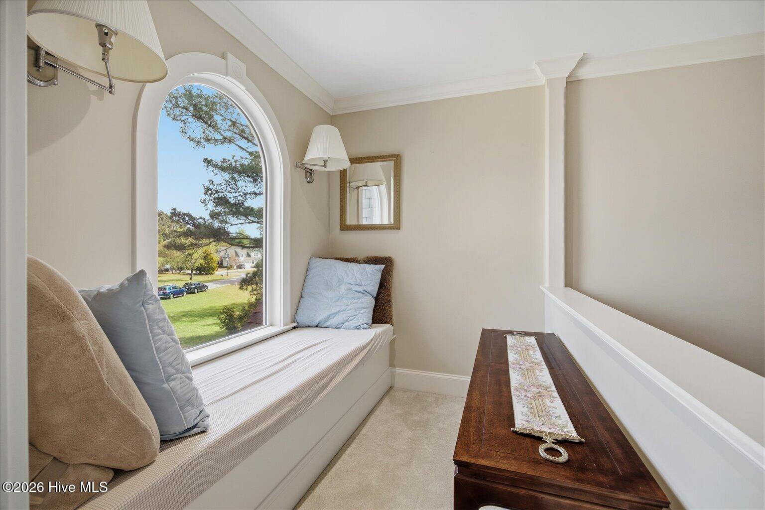 100564317 | Photo 39