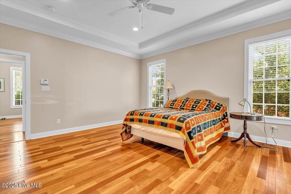 100534566 | Photo 49