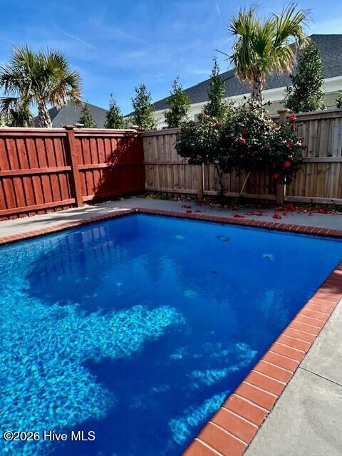 100557788 | Photo 18