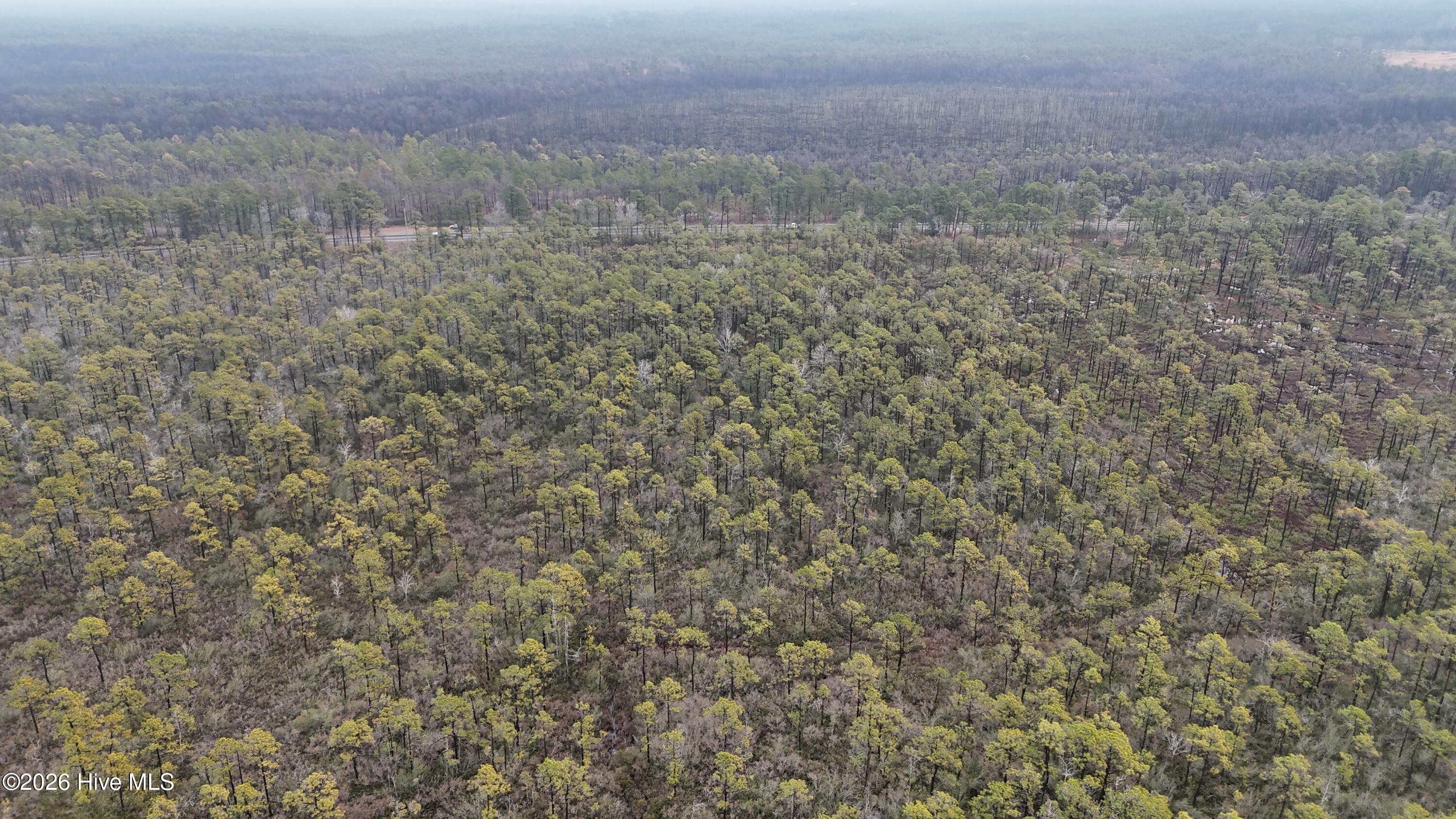 Homes for sale in Boiling Spring Lakes, NC | Lot 5 24 Unassigned Address, Boiling Spring Lakes, NC 28461 | MLS# 100552975