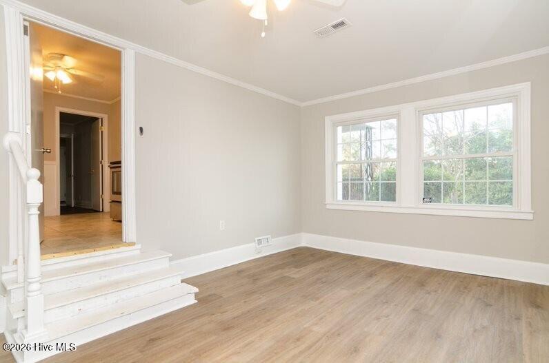 100556433 | Photo 11