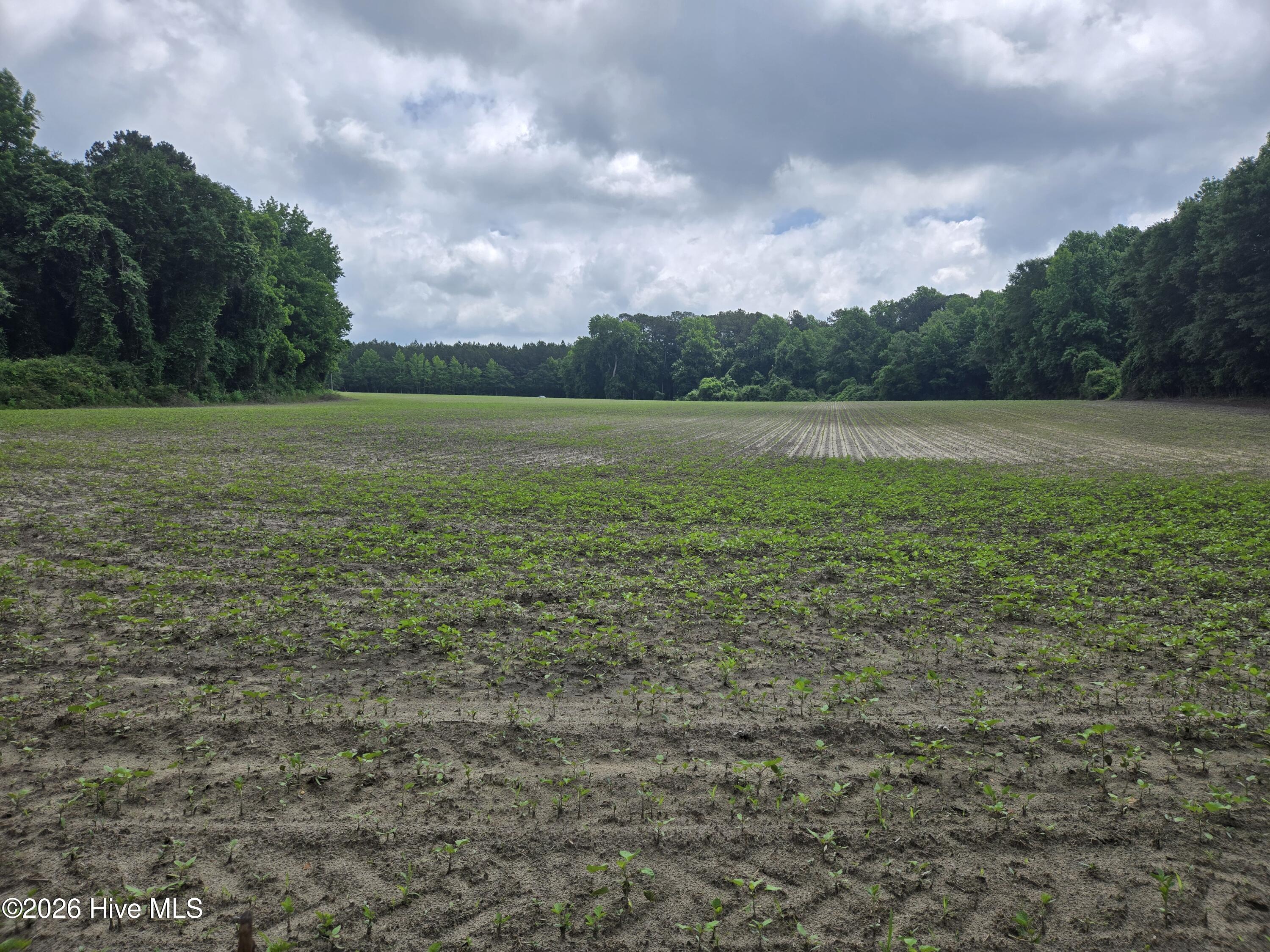 5th image of 0 Ballard Rd, Williamston, NC 27892 | MLS# 100593404