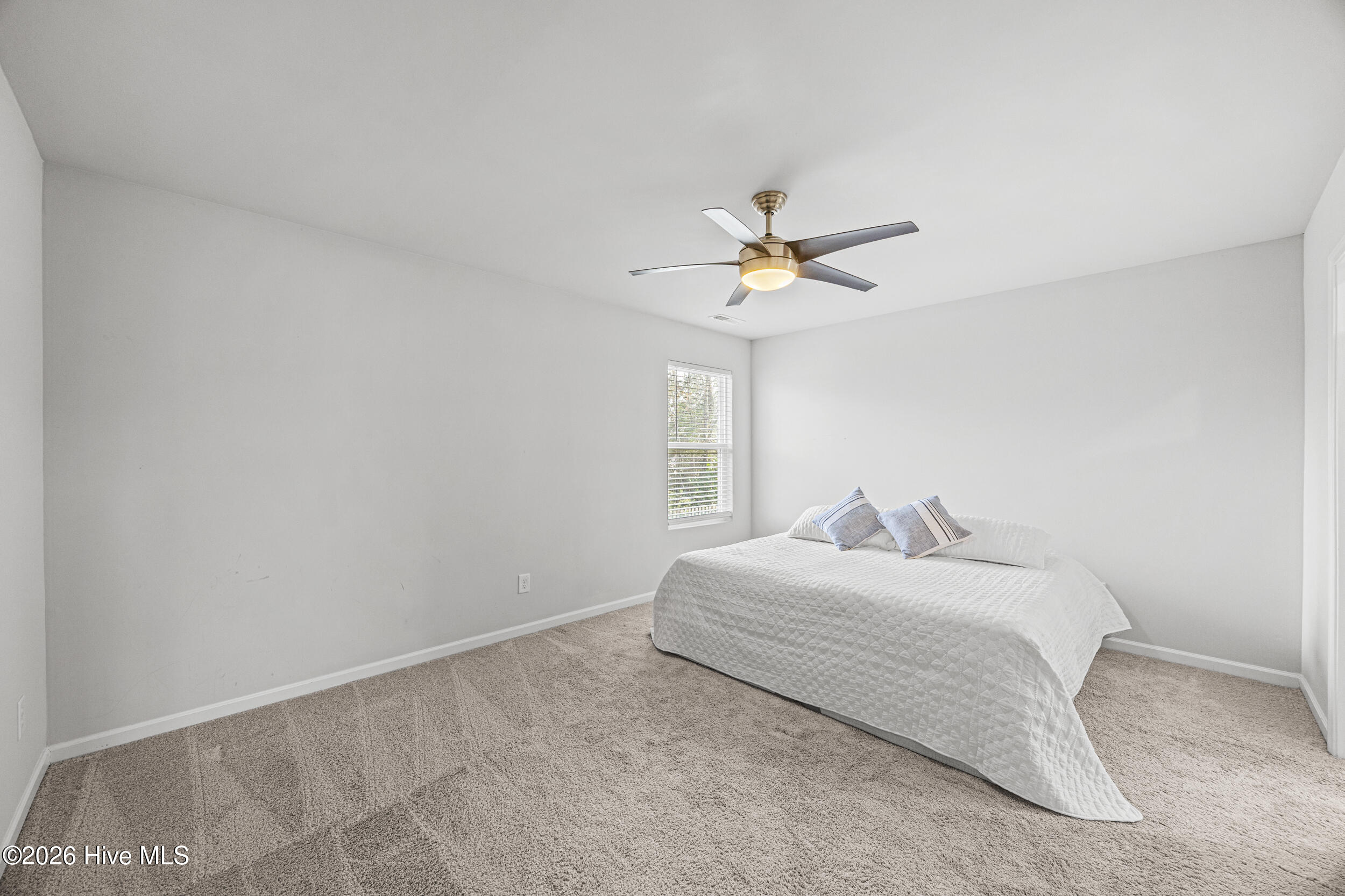 100557017 | Photo 28