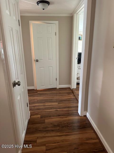 100554772 | Photo 49