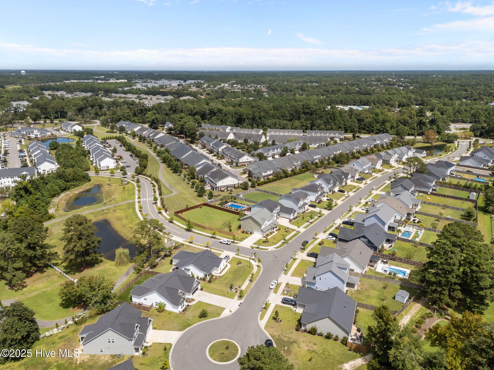 100528839 | Photo 54