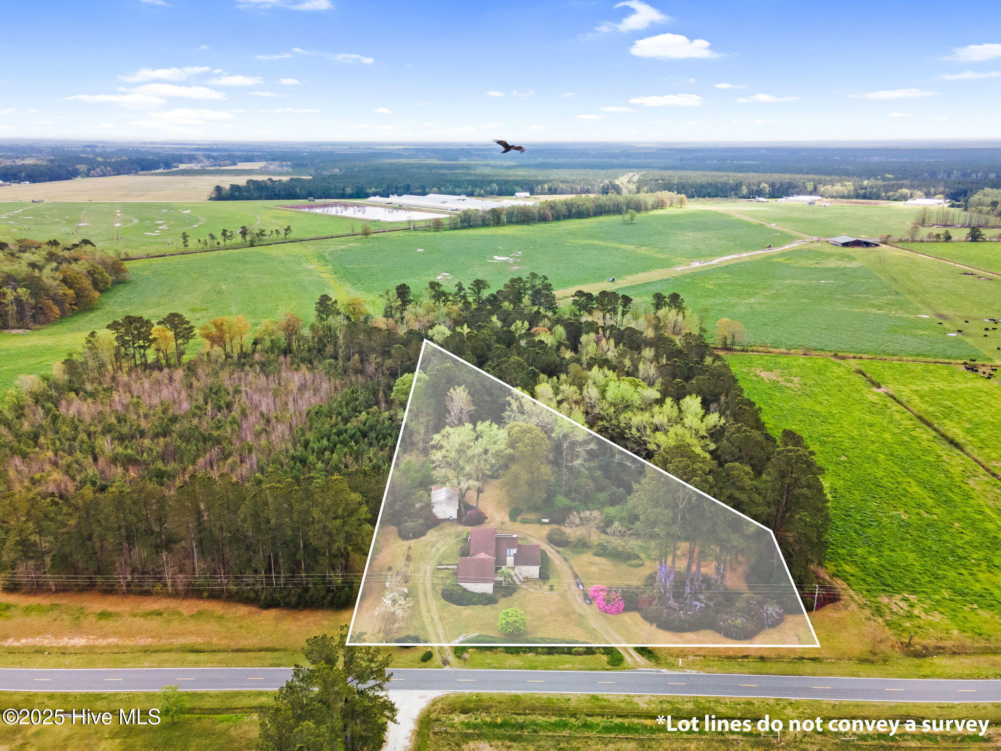 100499054 | Photo 52