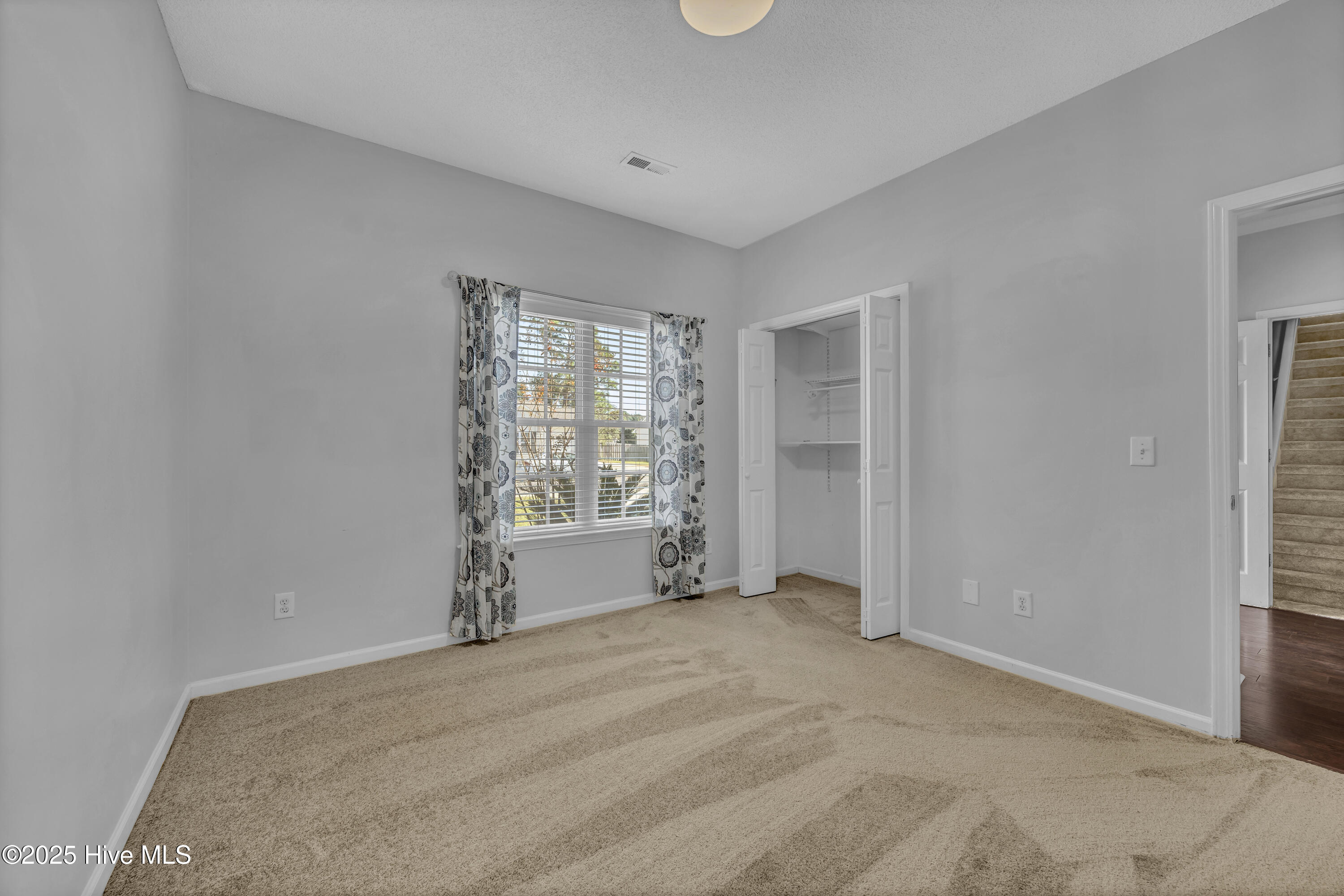 100540259 | Photo 13