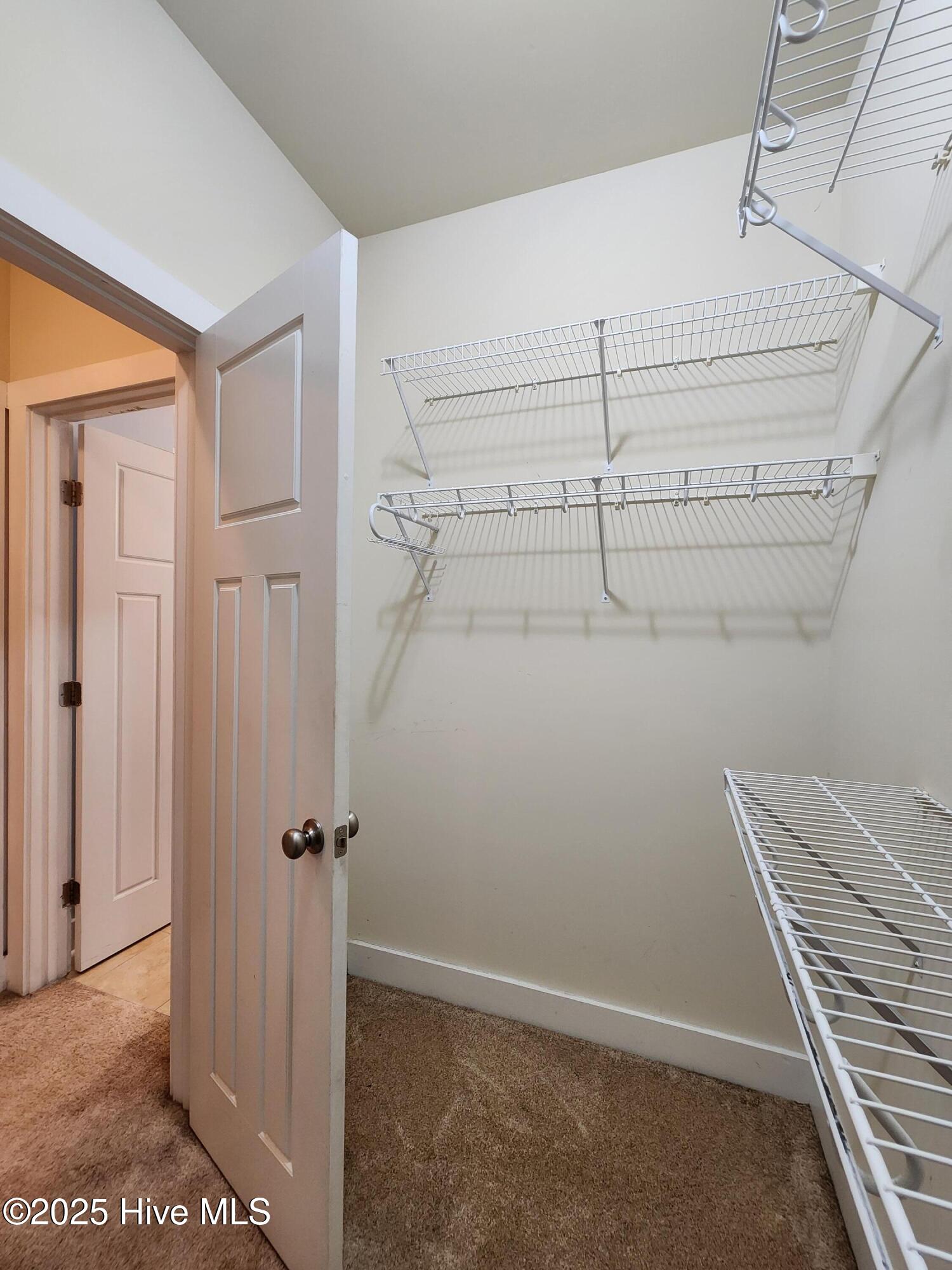 100569156 | Photo 33