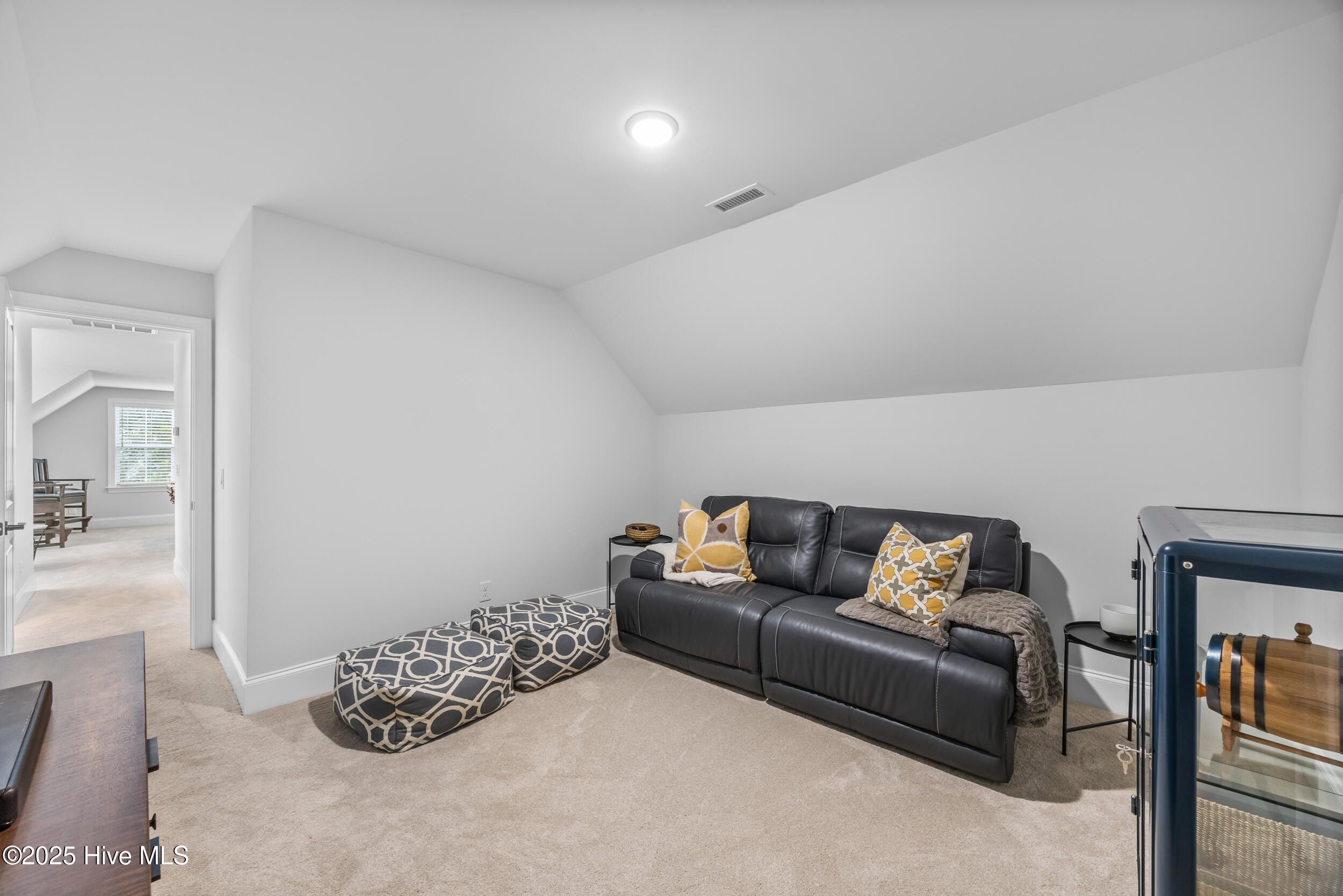 100515249 | Photo 47