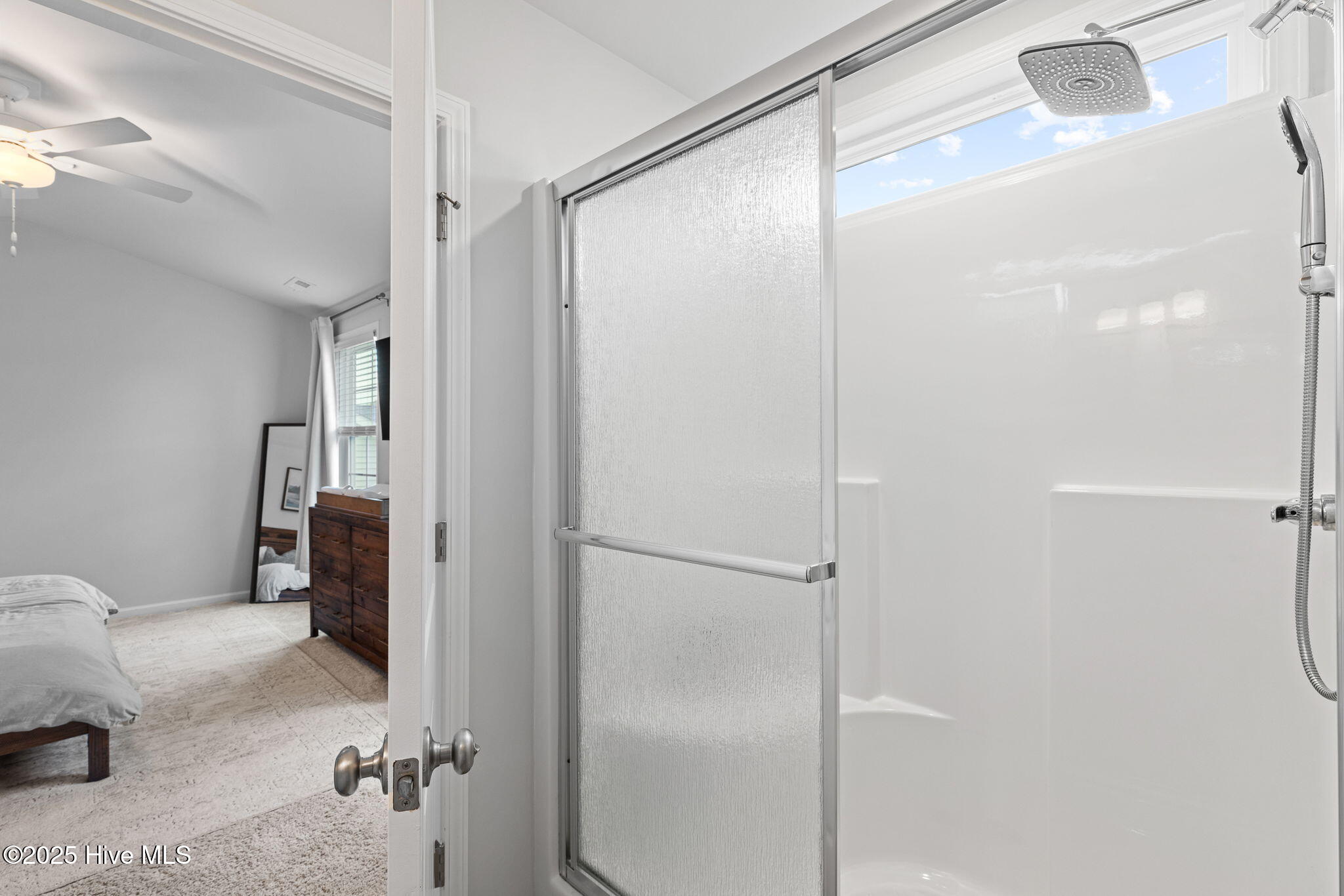 4433 Parsons Mill Drive, Castle Hayne, NC 28429 – photo 24: Primary shower