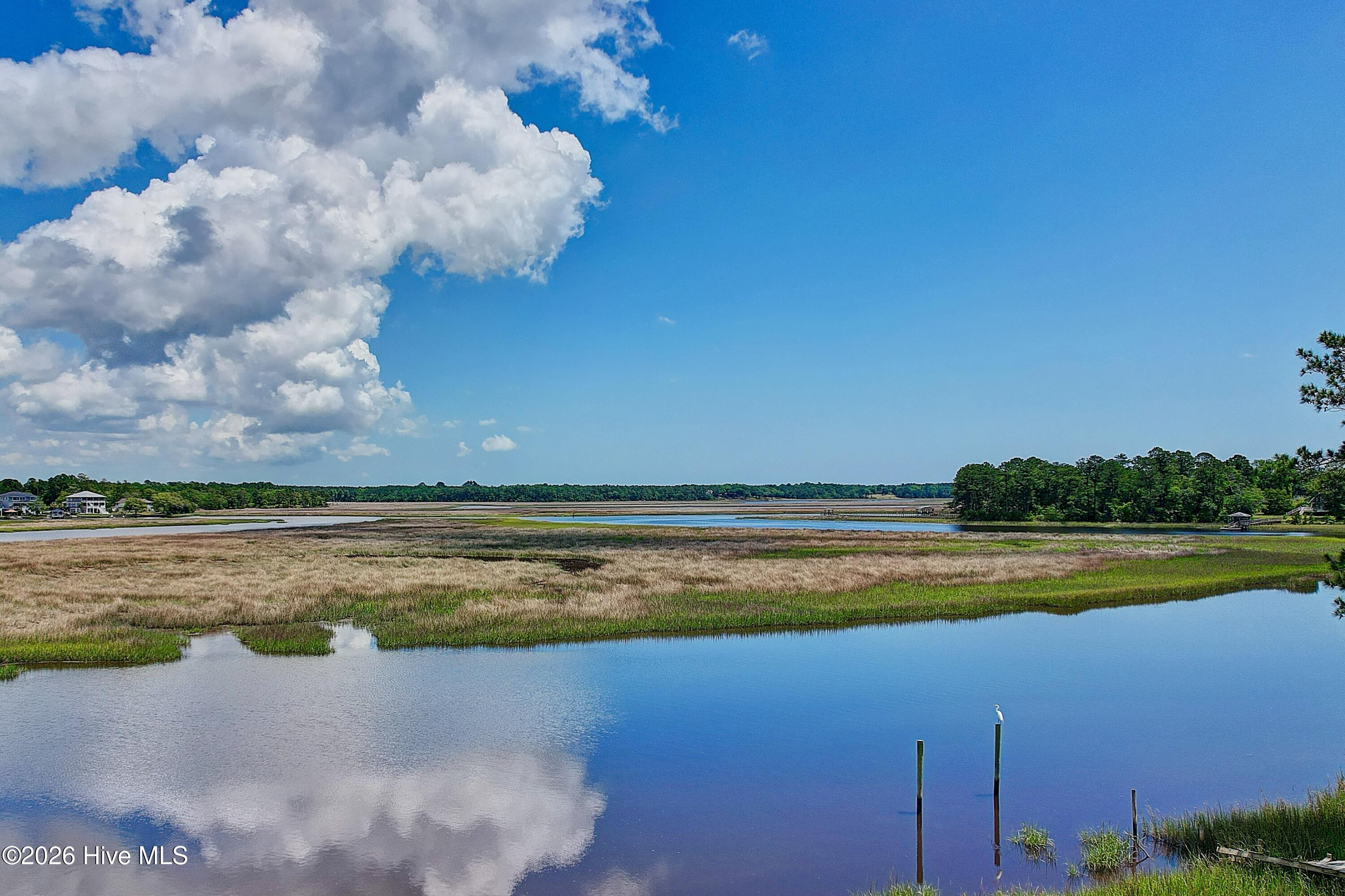 100556073 | Photo 15