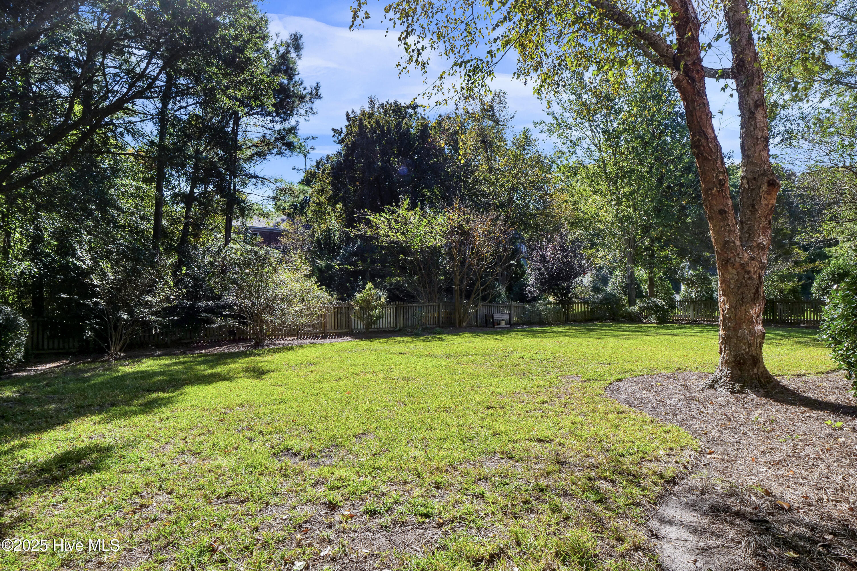 100539062 | Photo 54