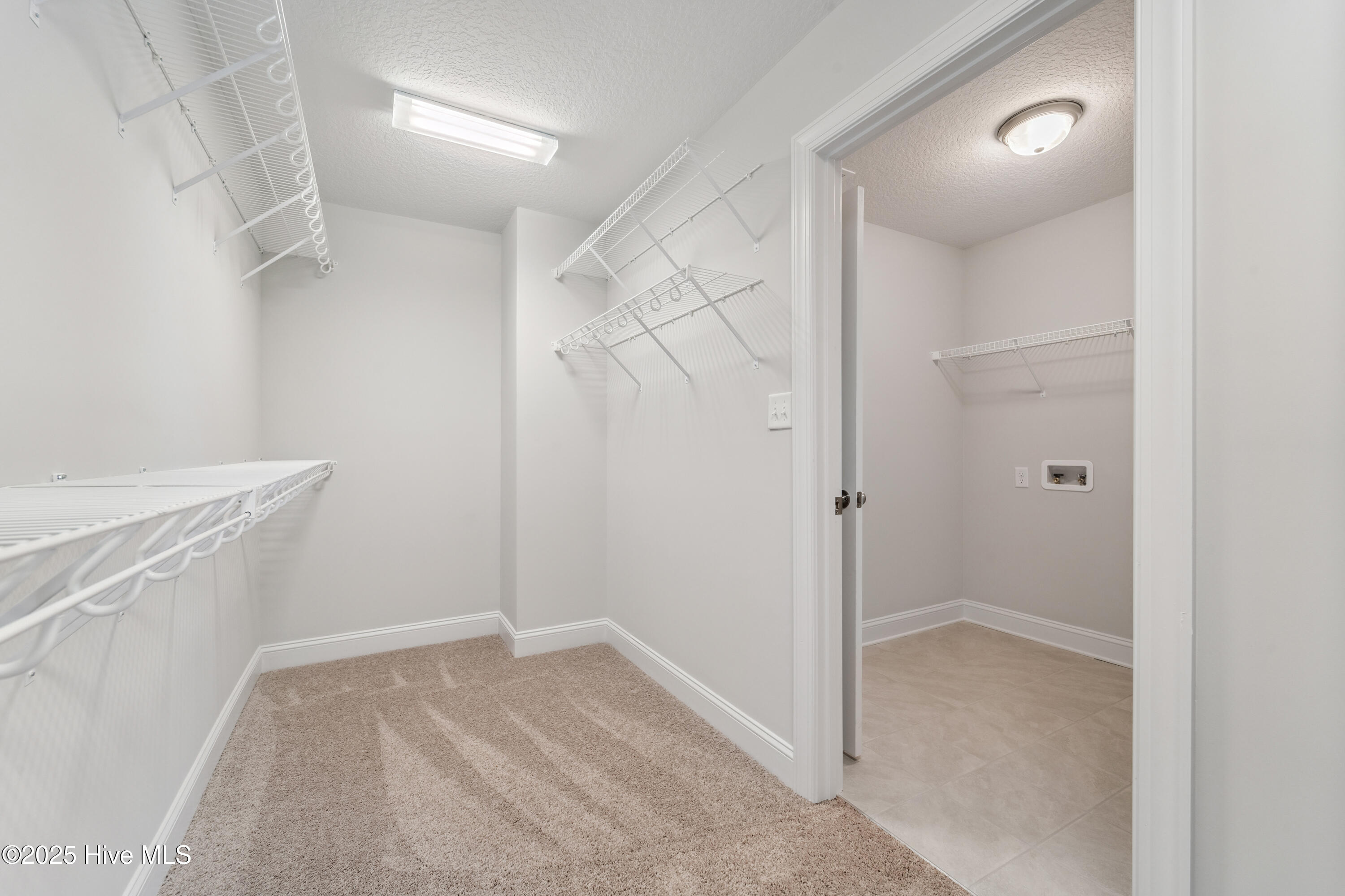 100505729 | Photo 28