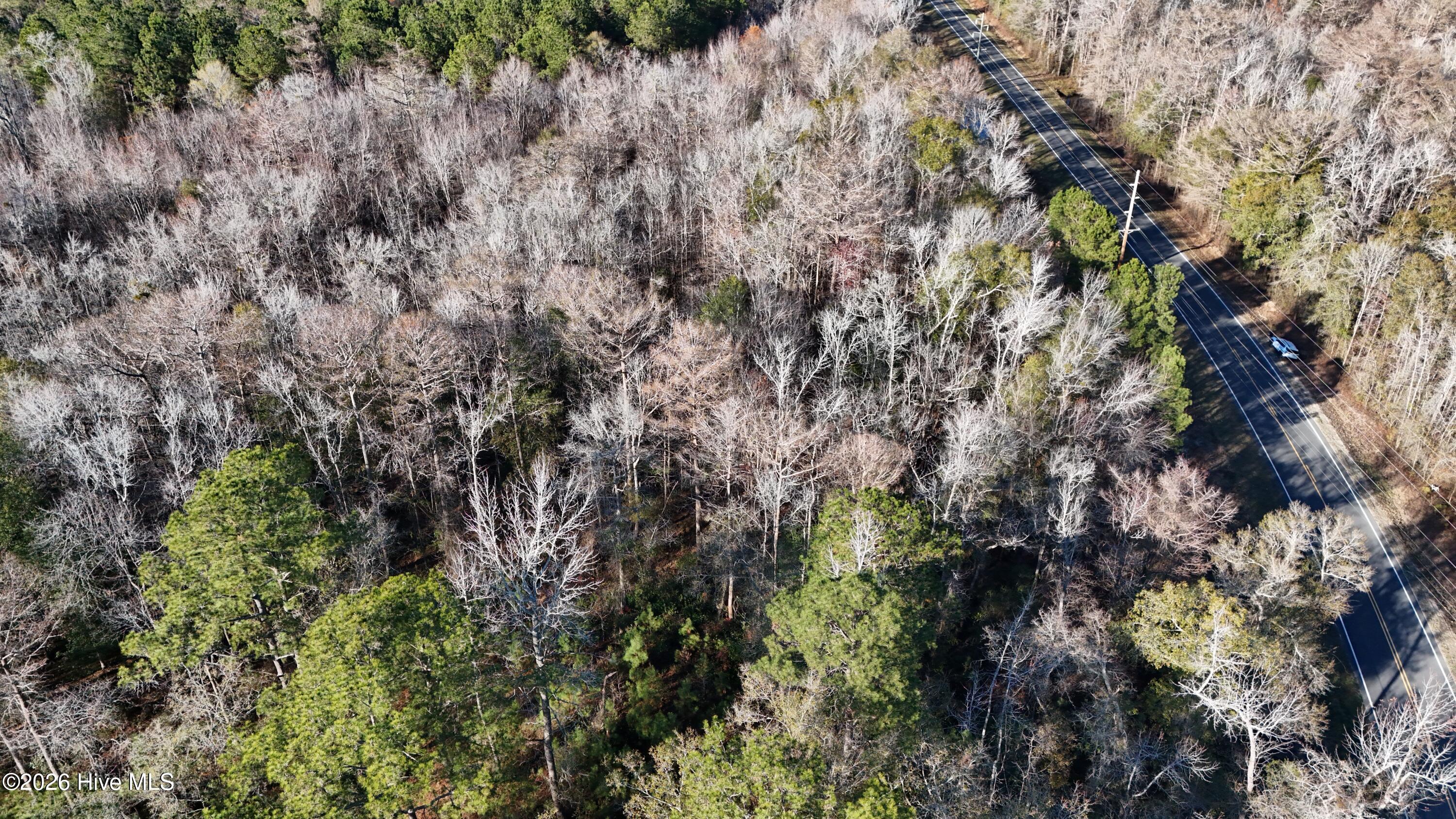 100556794 | Photo 12