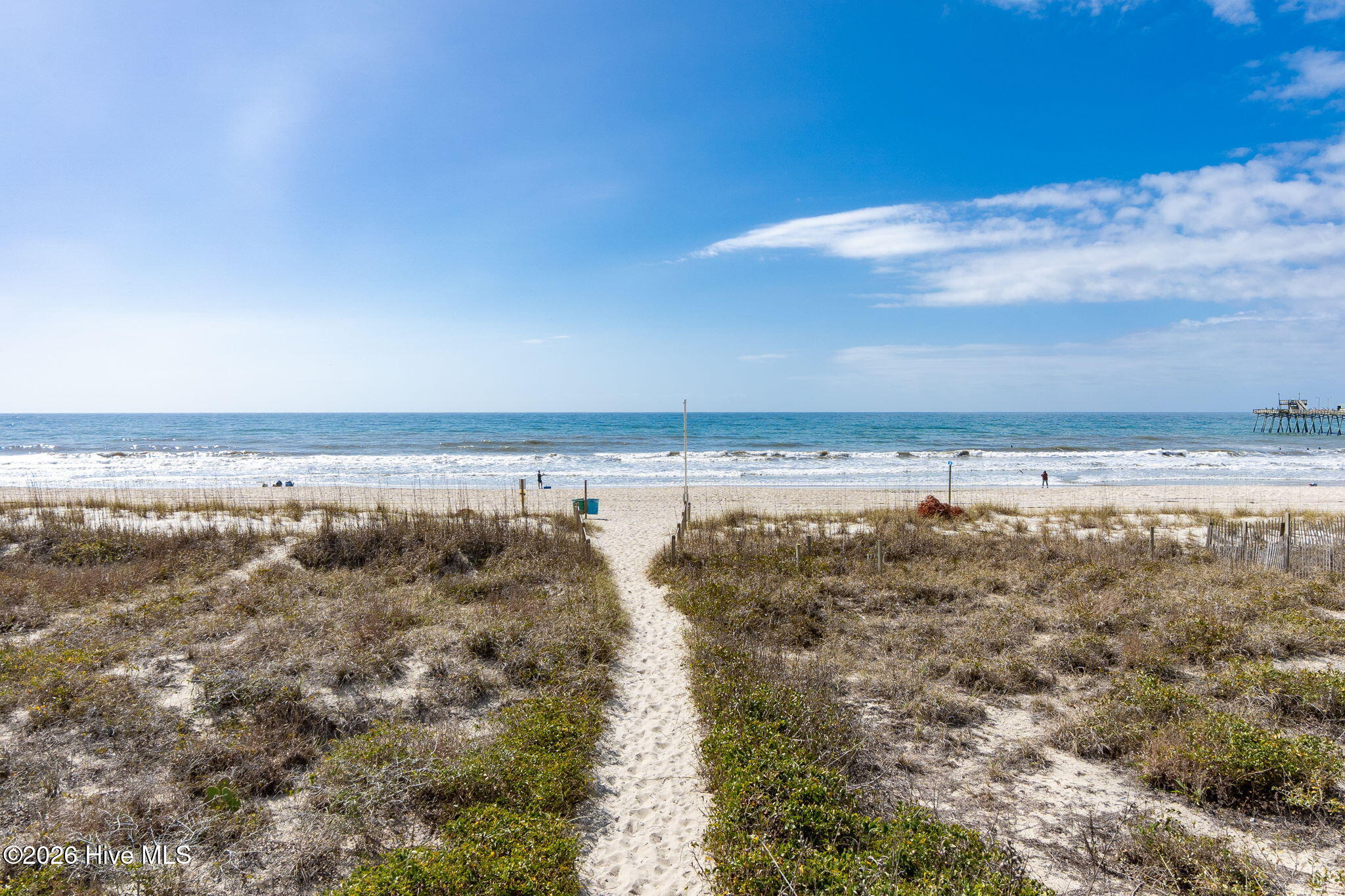 100566494 | Photo 43