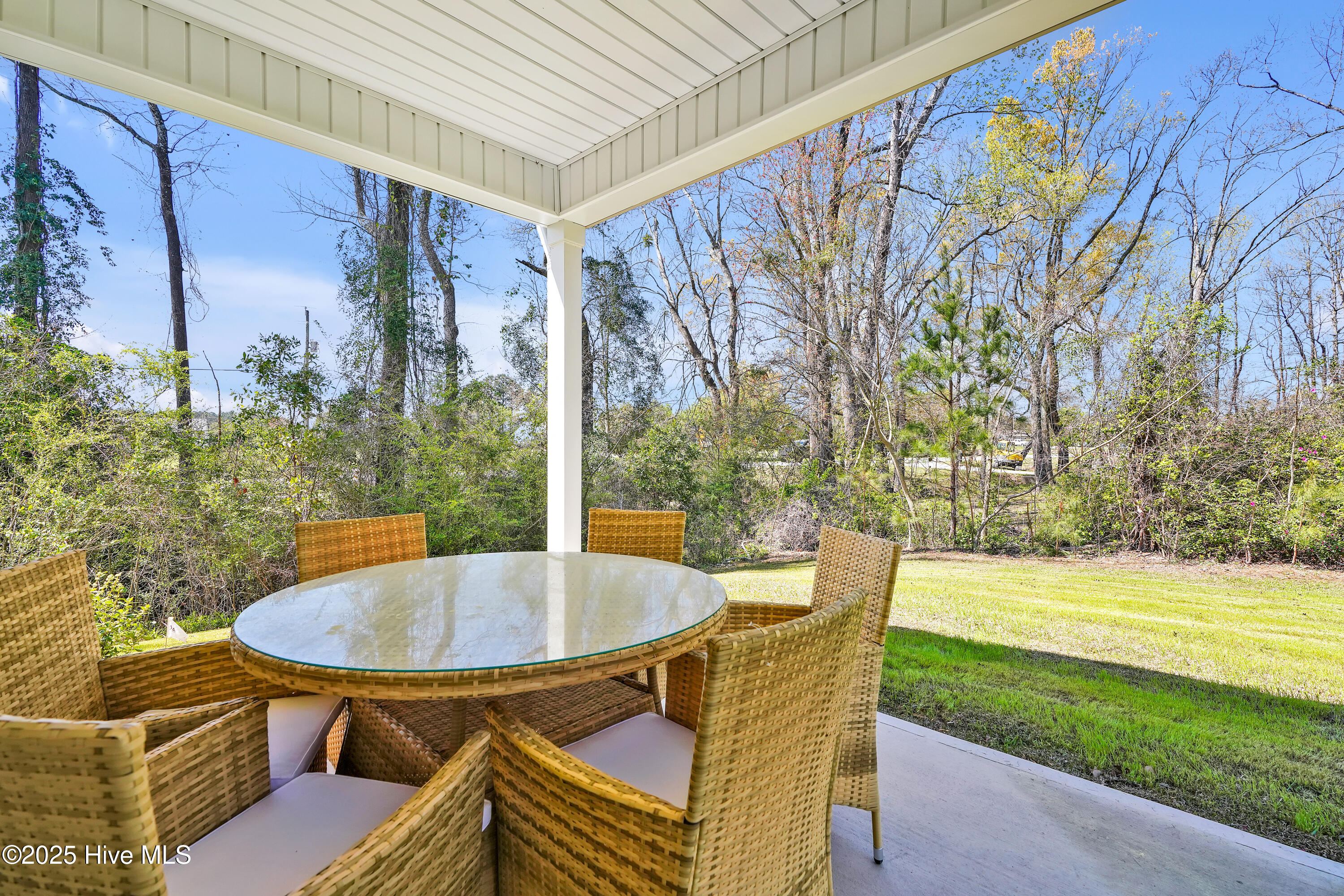 100535956 | Photo 46