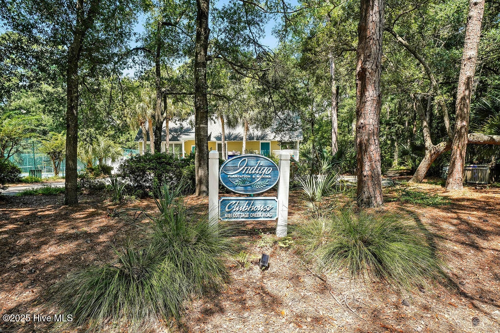 100504453 | Photo 52