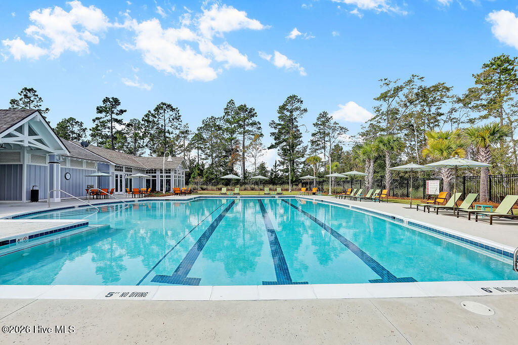 100565235 | Photo 120