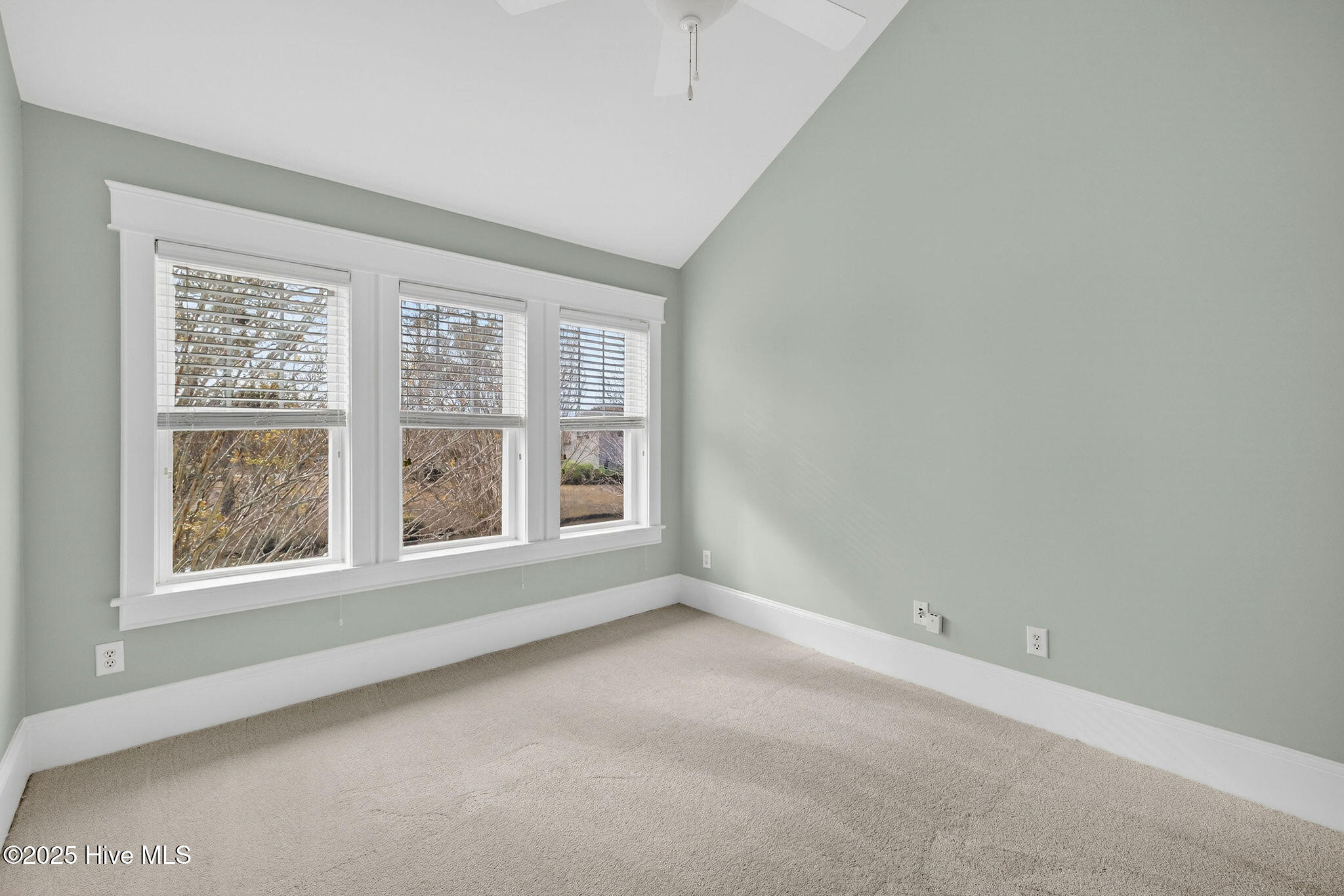 100545451 | Photo 41