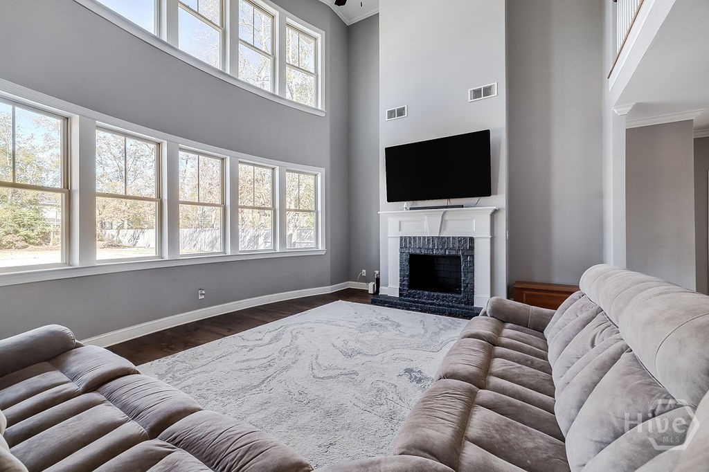 Living room windows