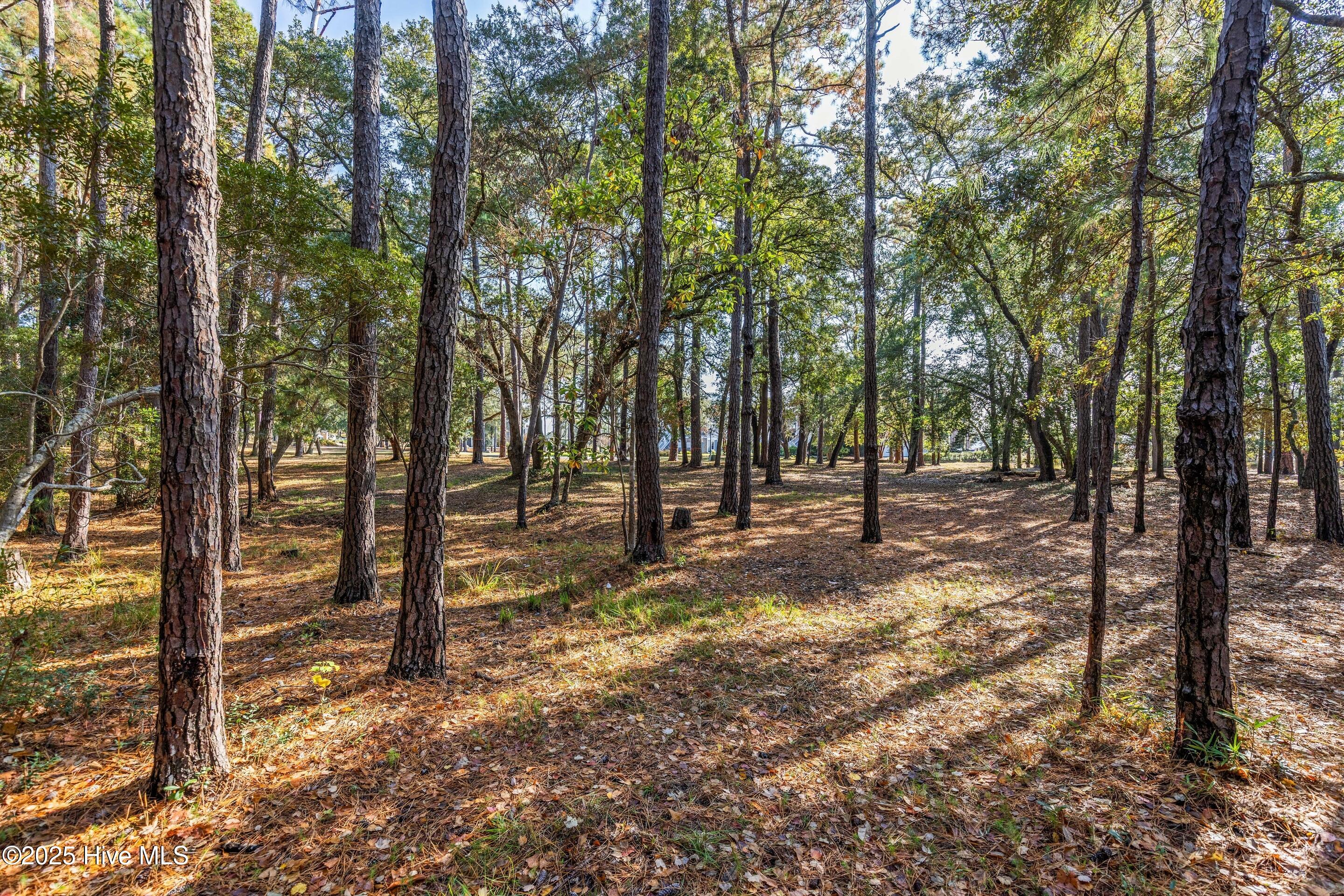 100543238 | Photo 13