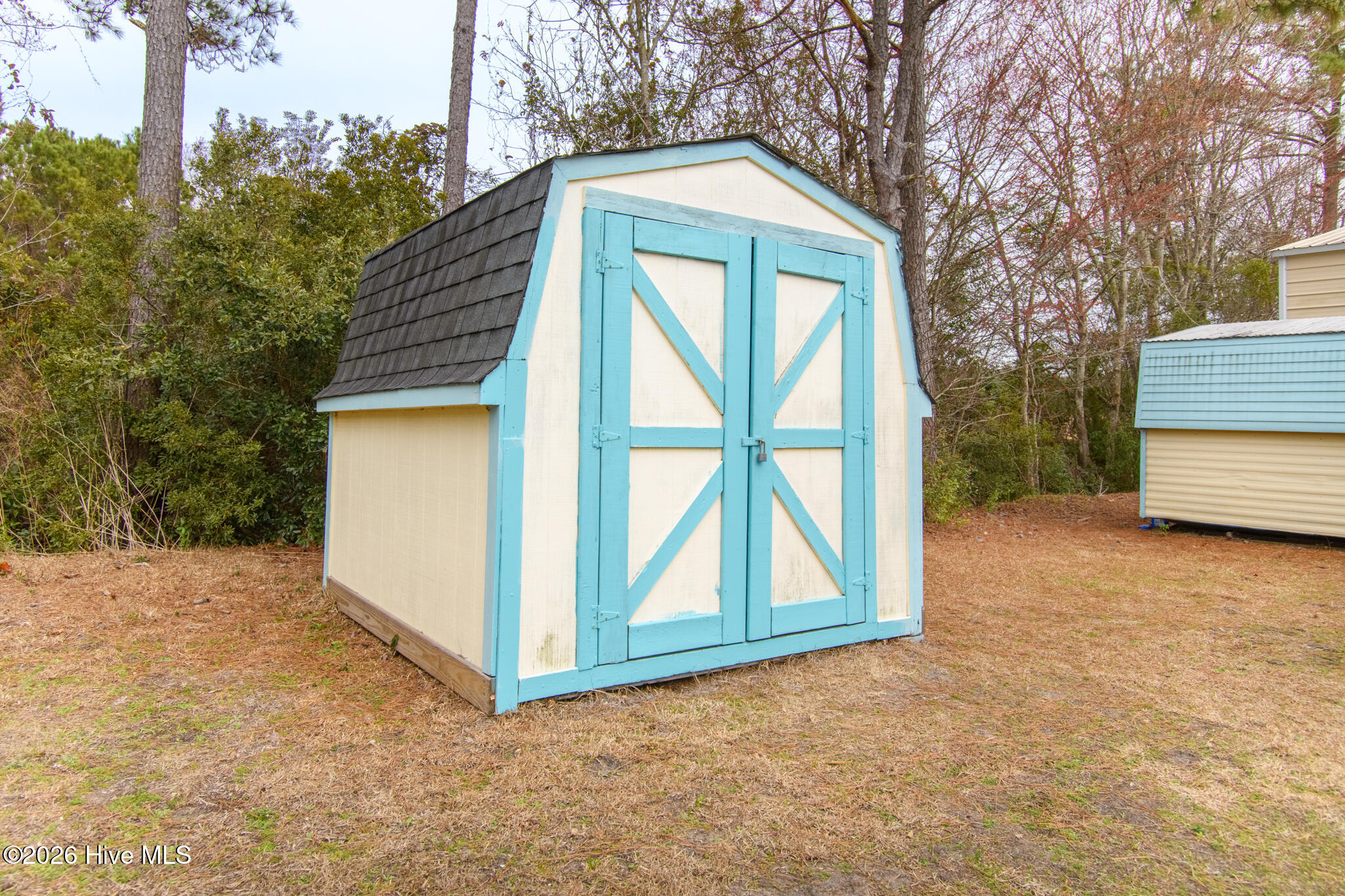 100558747 | Photo 43