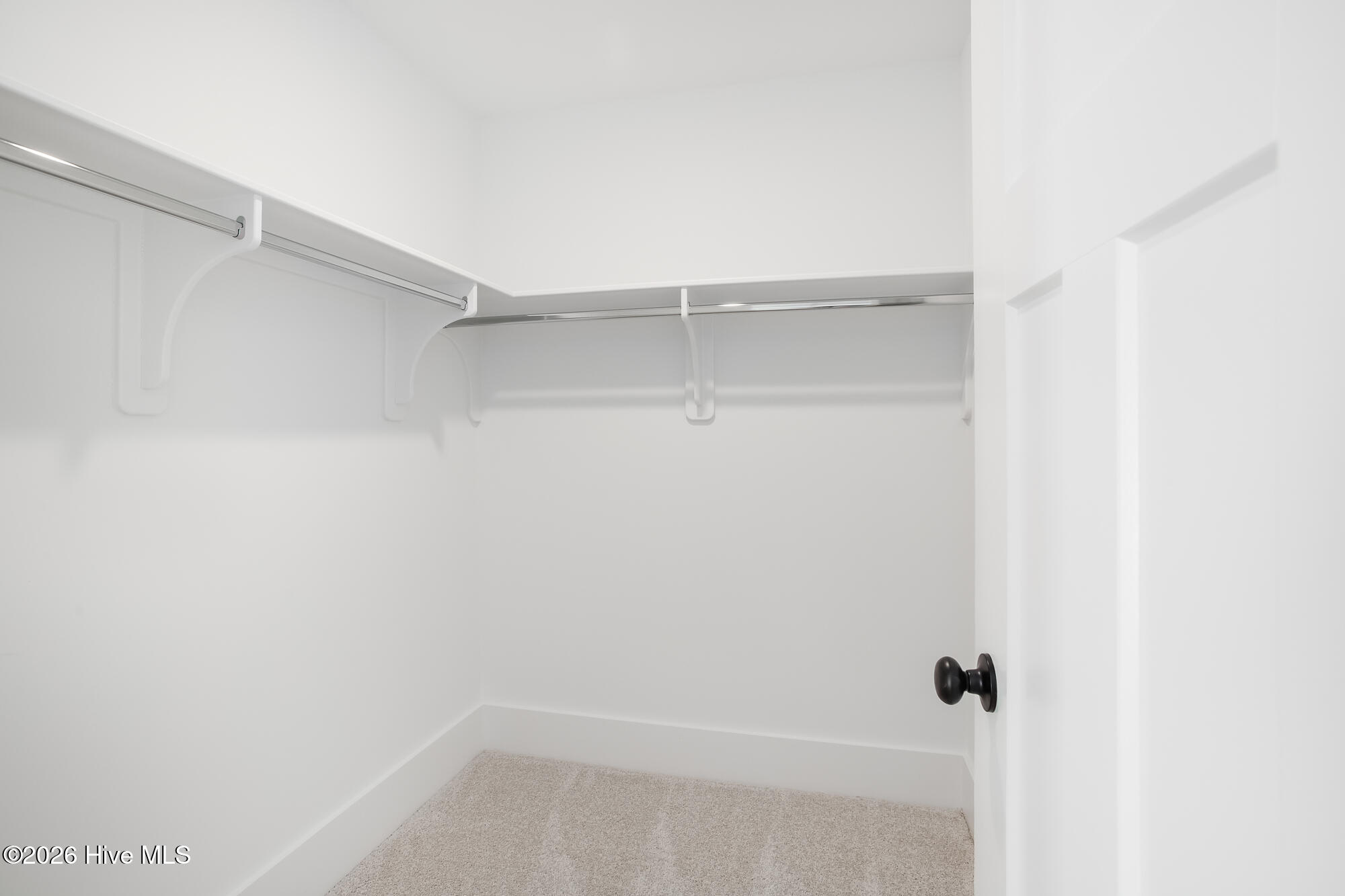 100564009 | Photo 34