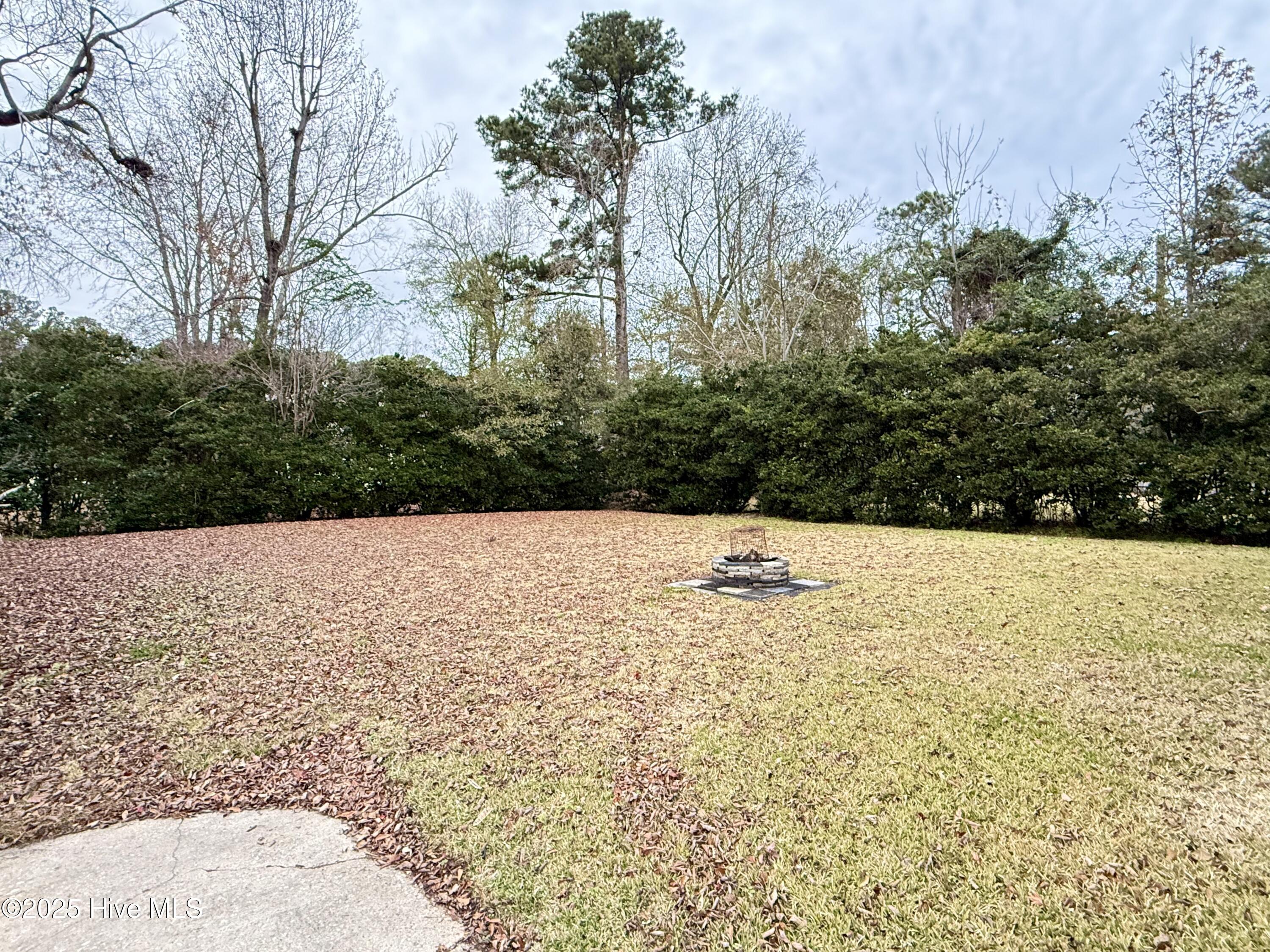 100537874 | Photo 31