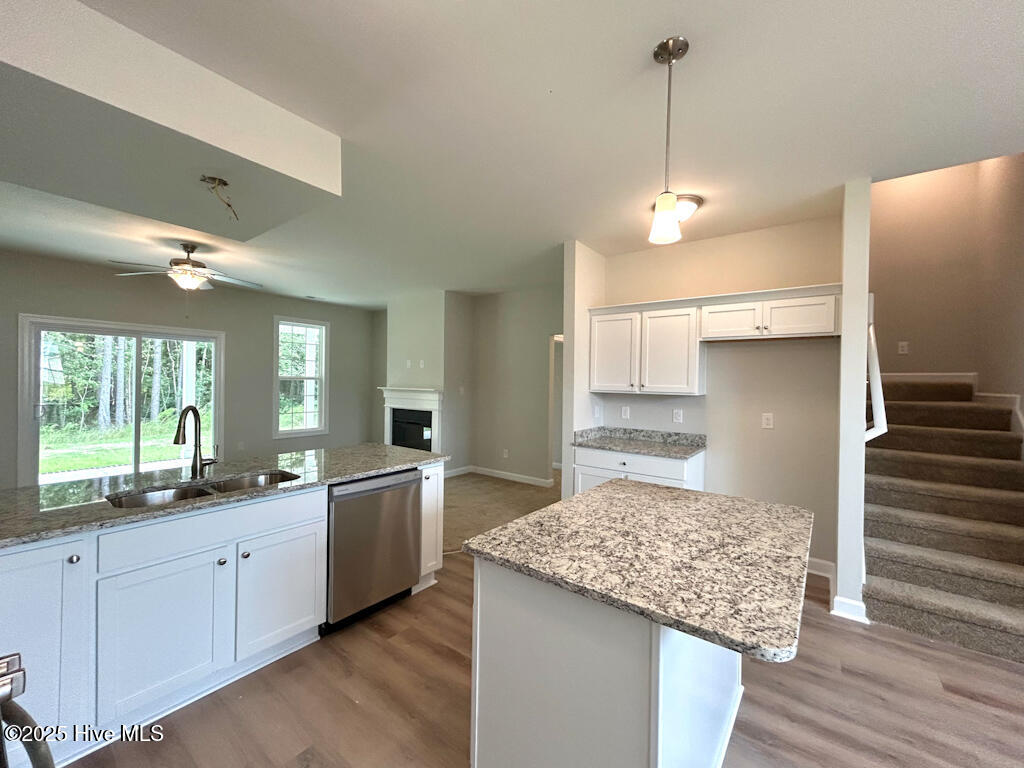 100513411 | Photo 25