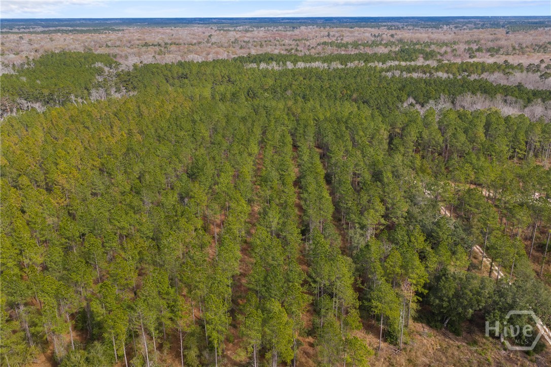 1000 Old River Road S, Brooklet, GA, 30415