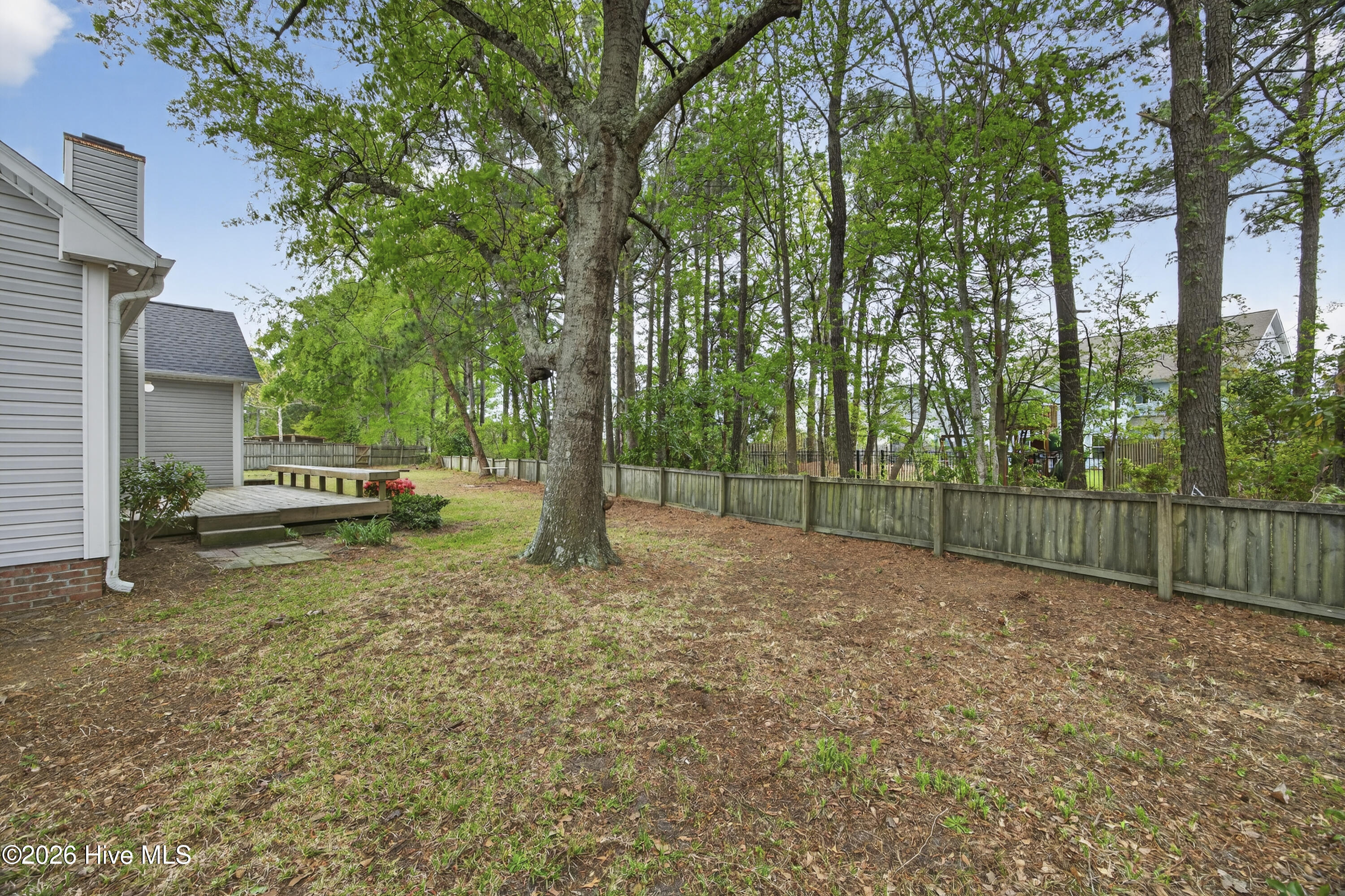 100565929 | Photo 15