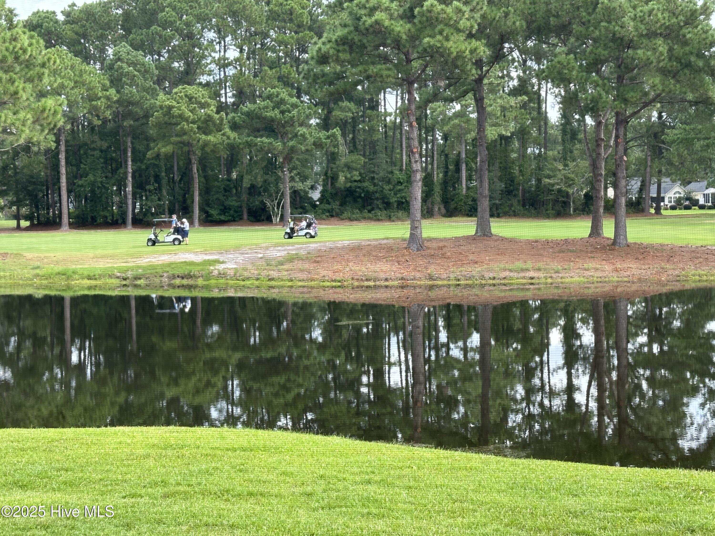 100524918 | Photo 12