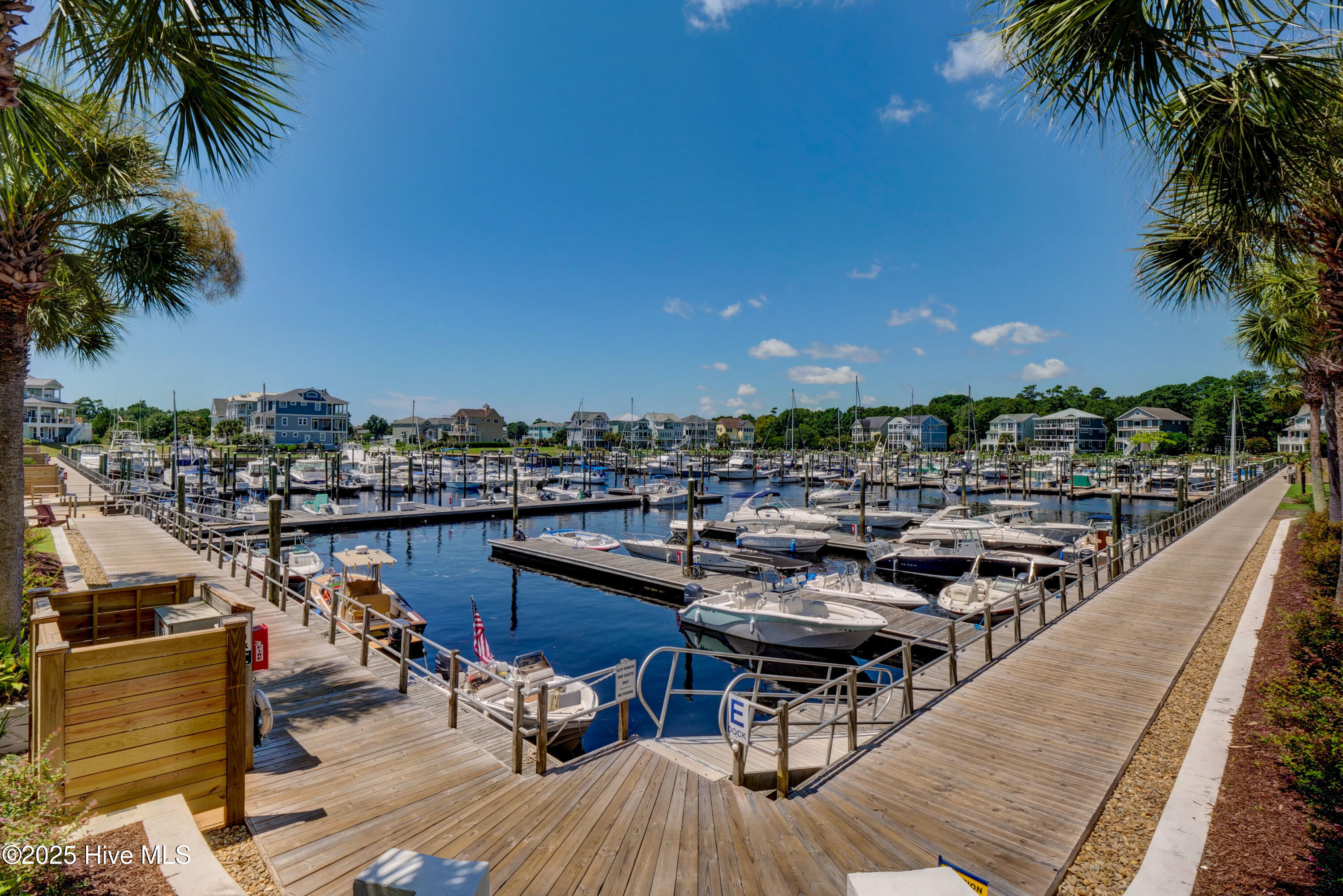 100511674 | Photo 82