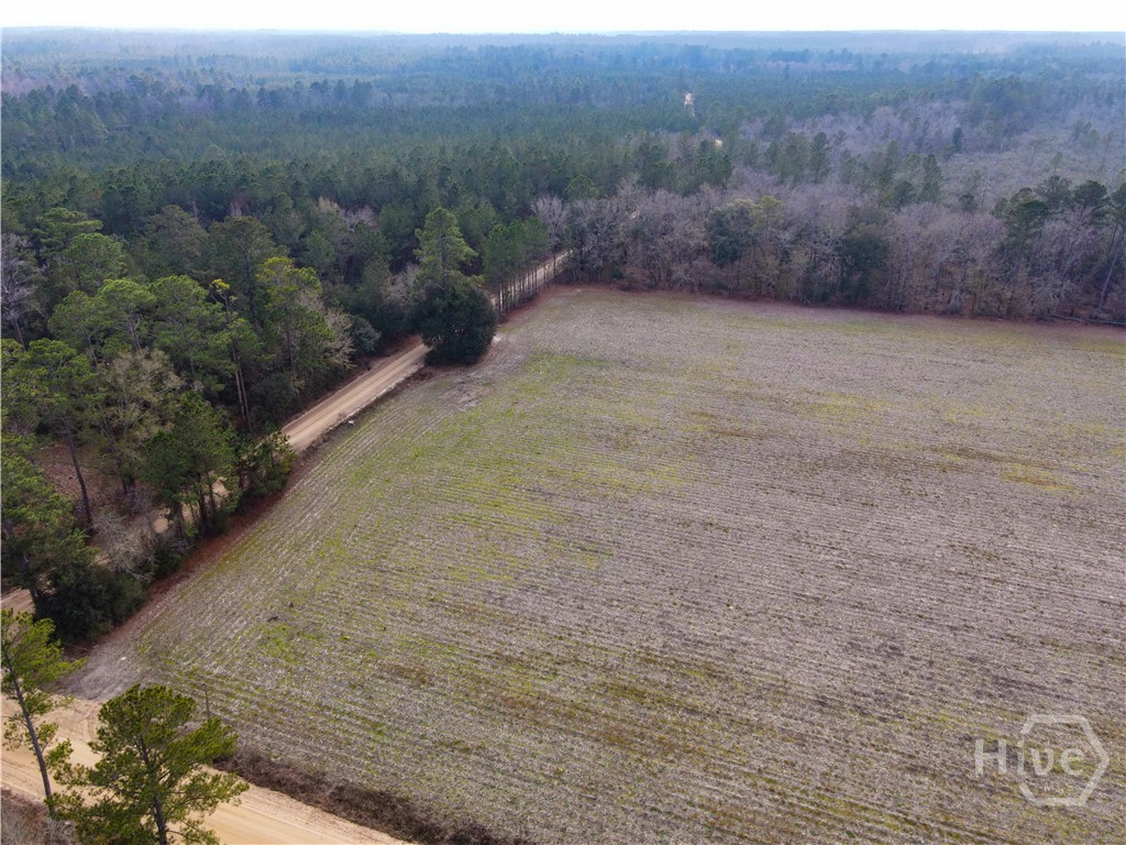 Homes for sale in Pembroke, GA | 0 Floyd Road #Lot 7, Pembroke, GA 31321 | MLS# SA346332