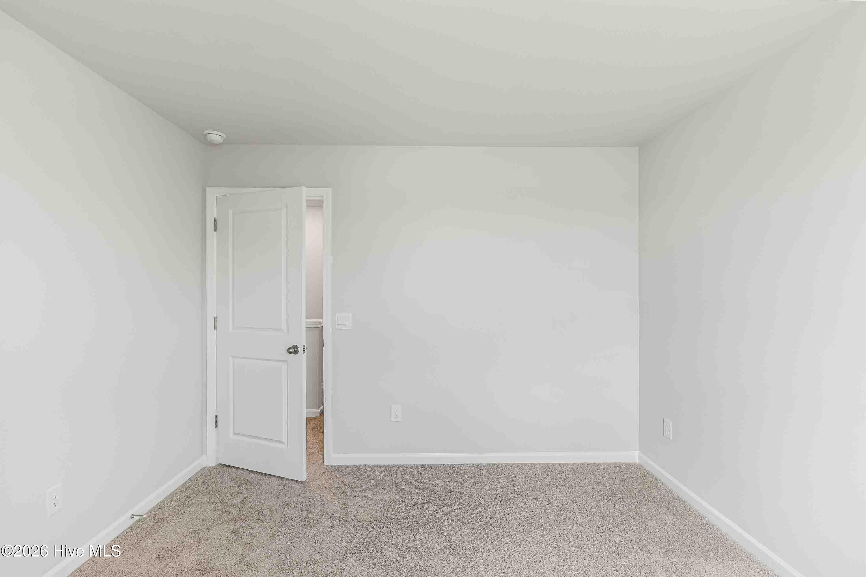 100564191 | Photo 19