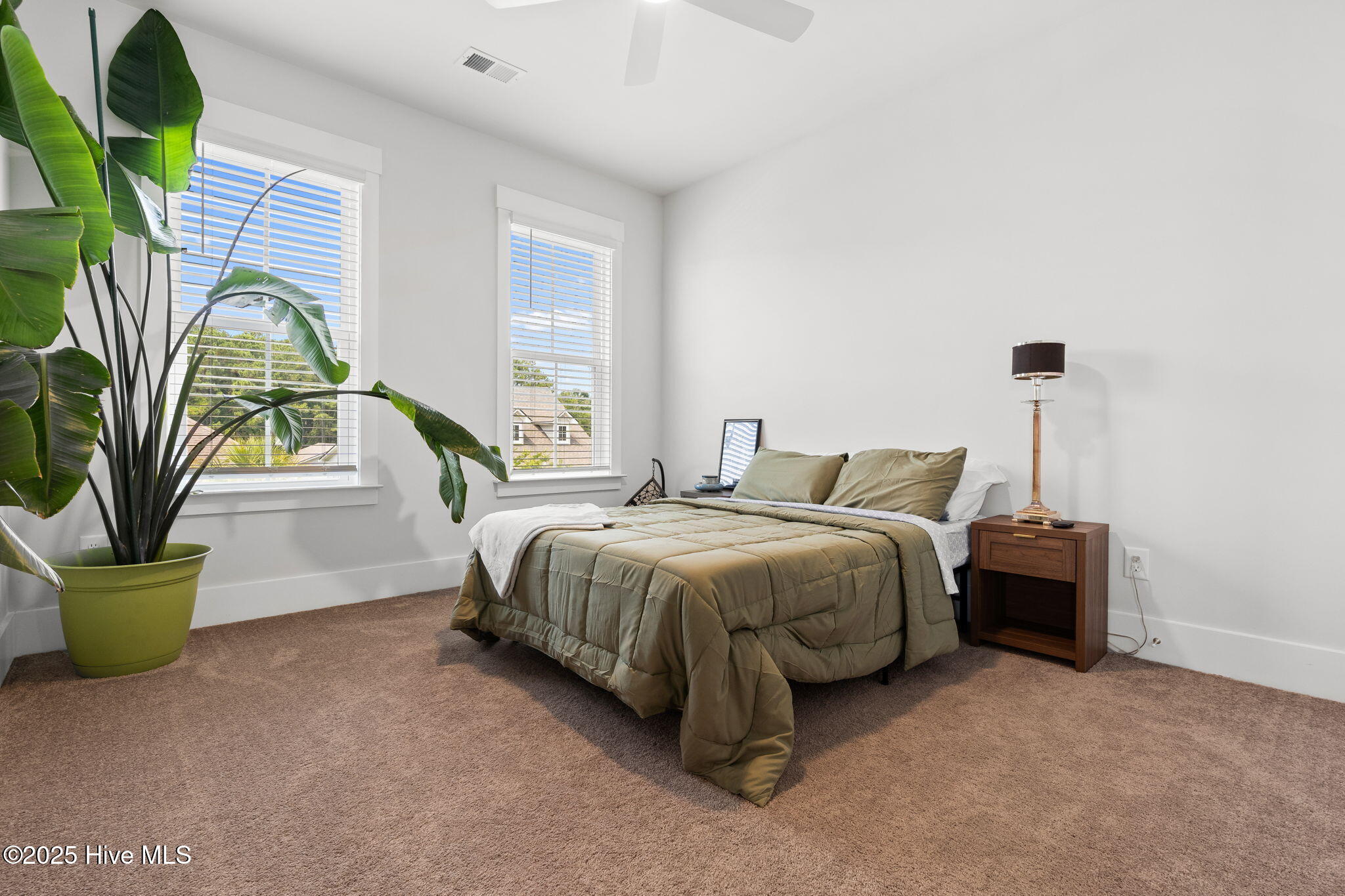 100516296 | Photo 20