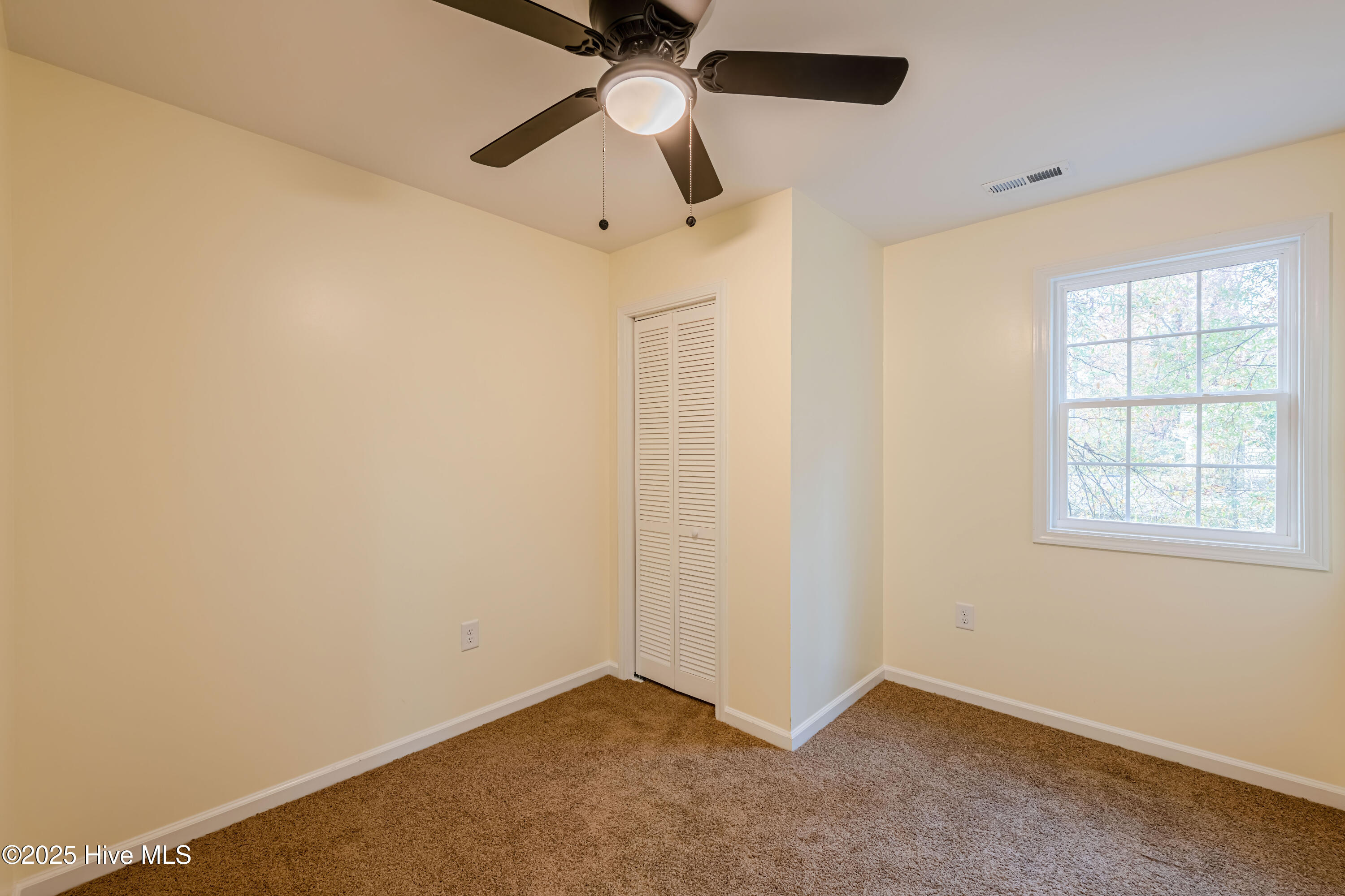 100538278 | Photo 33