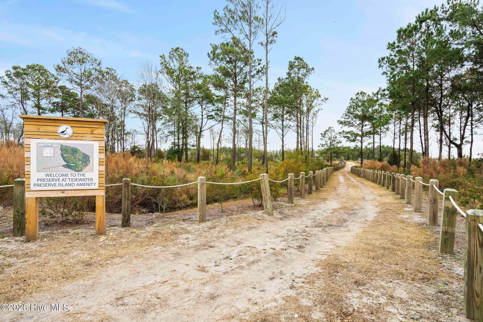 100558926 | Photo 83