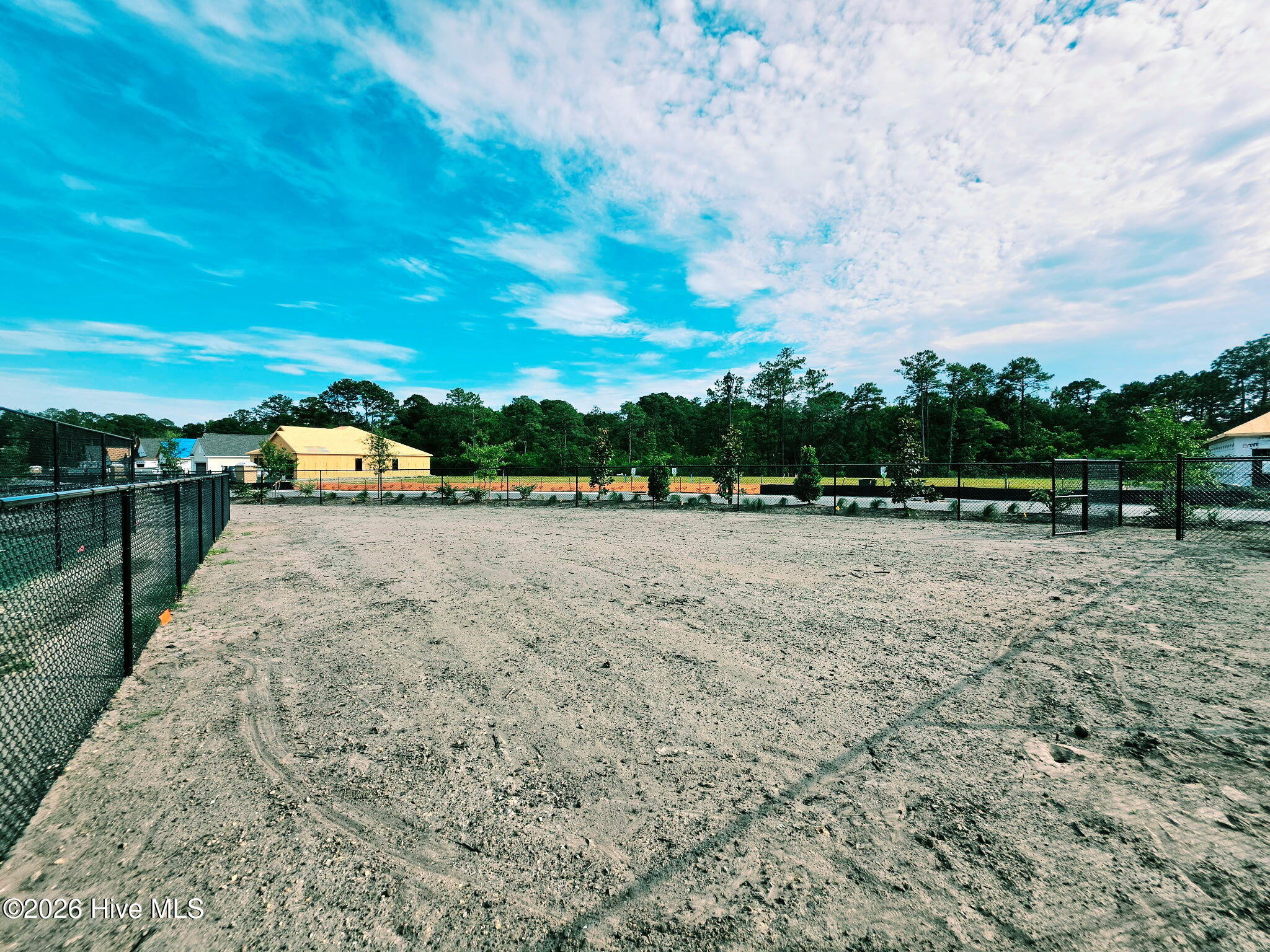 100579839 | Photo 13