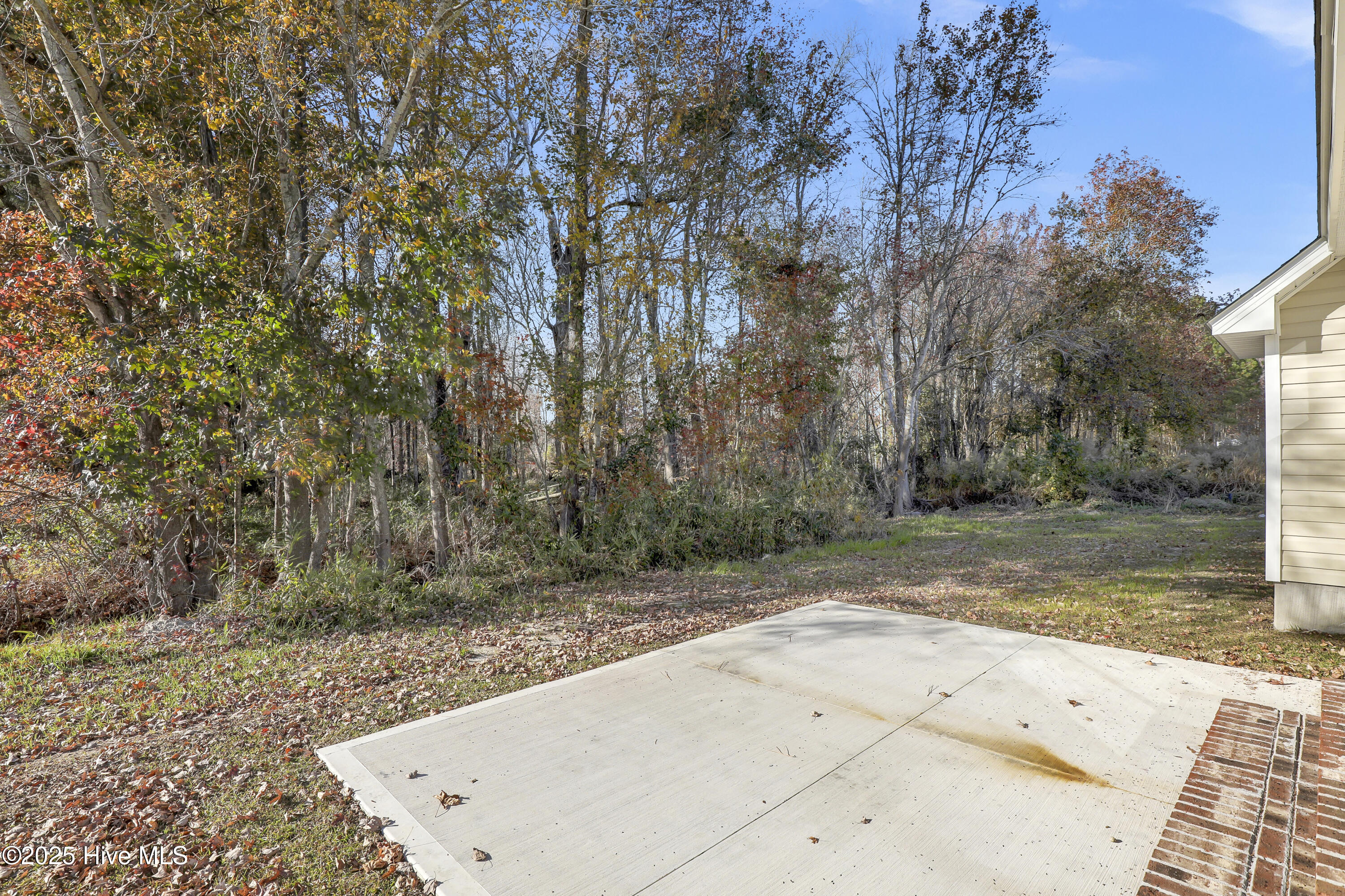 100507419 | Photo 24